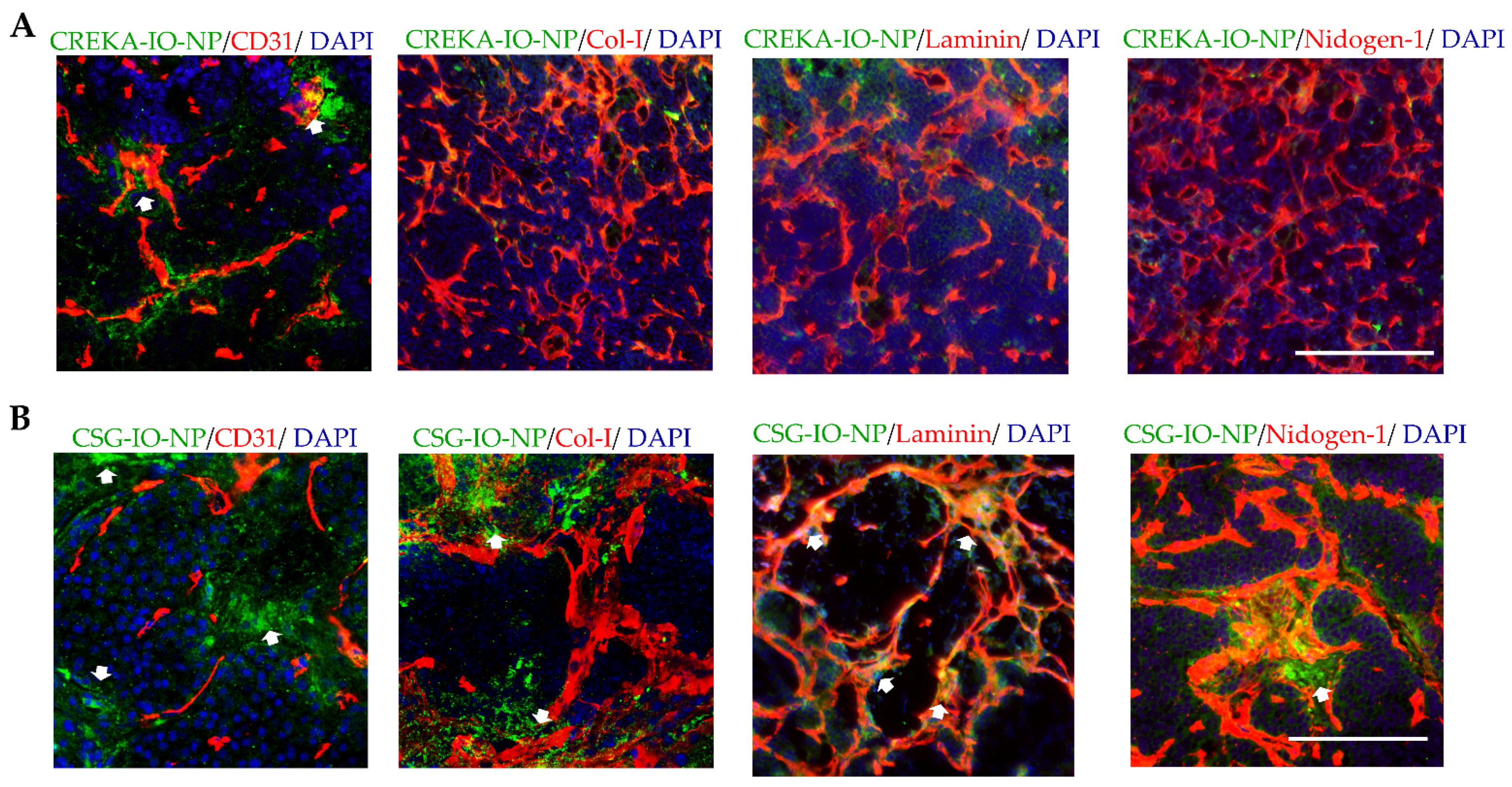 Pharmaceutics 13 01663 g005