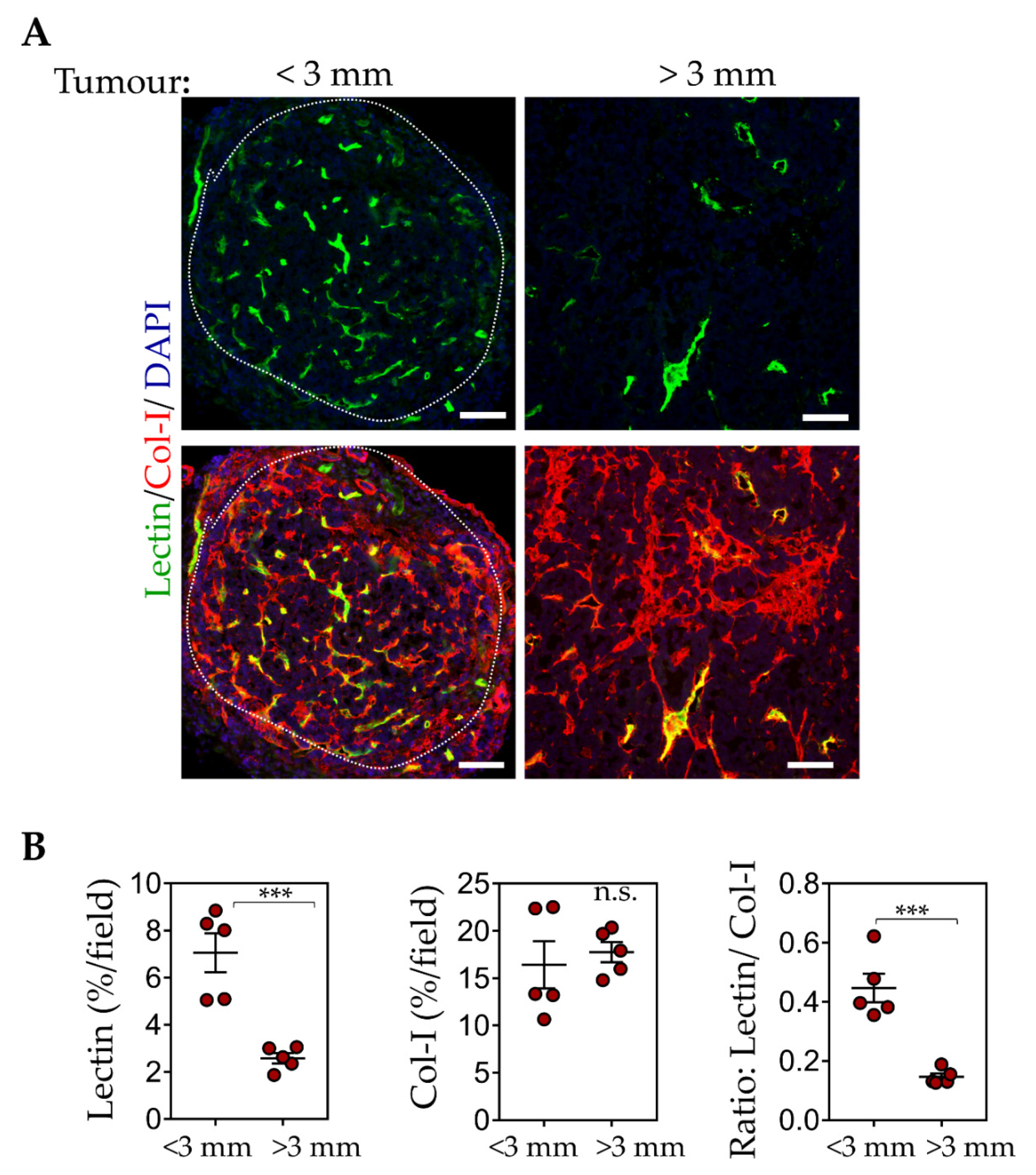 Pharmaceutics 13 01663 g007