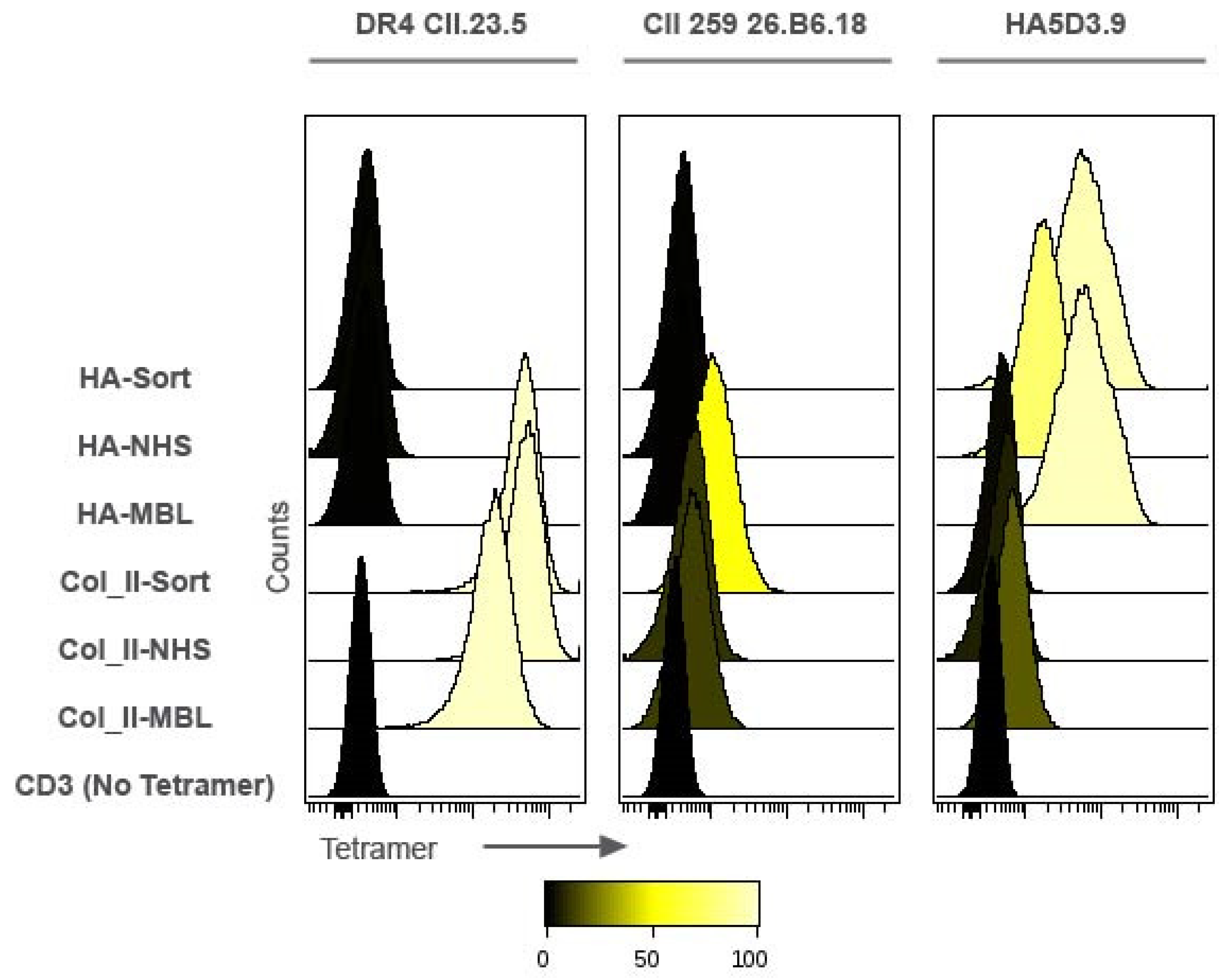 Pharmaceutics 13 01669 g002