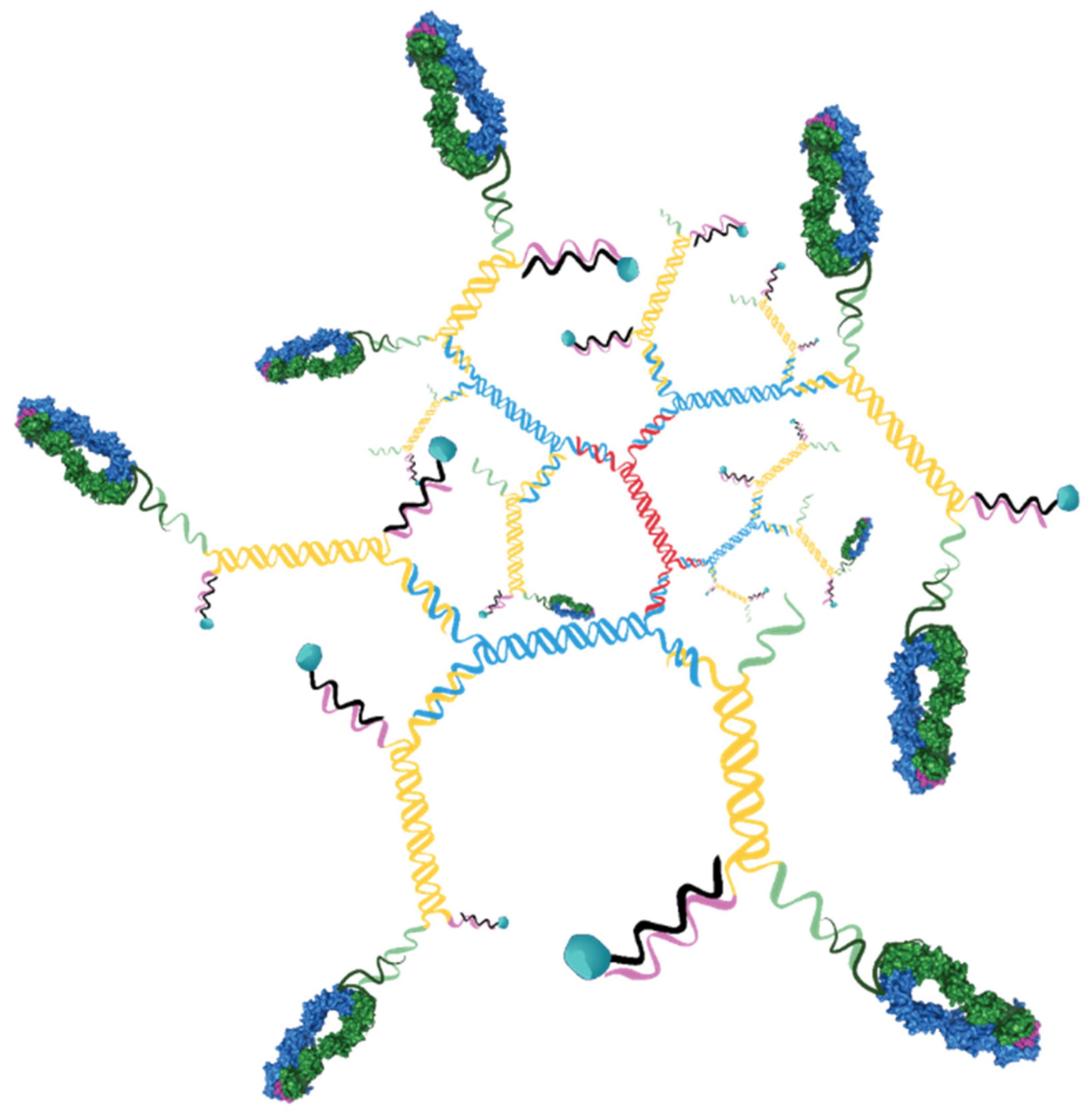 Pharmaceutics 13 01669 g004