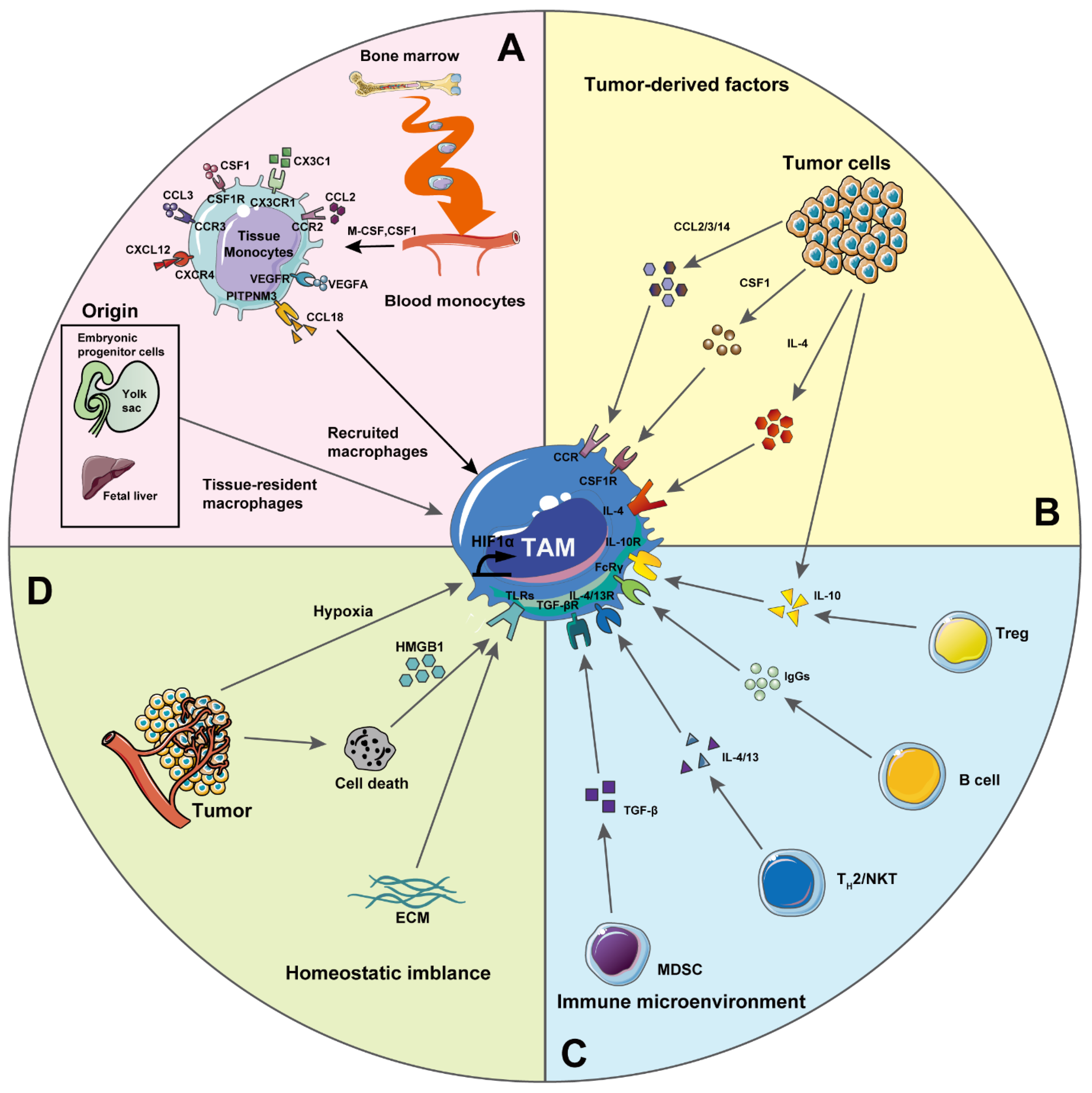Pharmaceutics 13 01670 g002