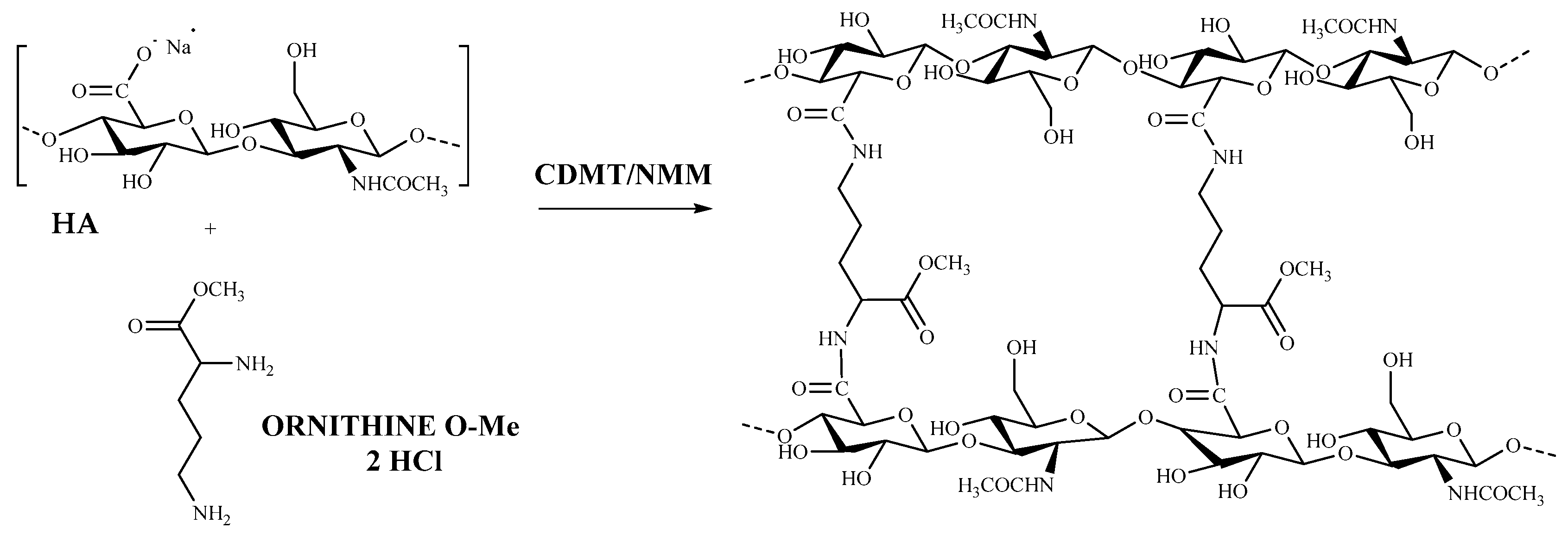 Pharmaceutics 13 01672 g001