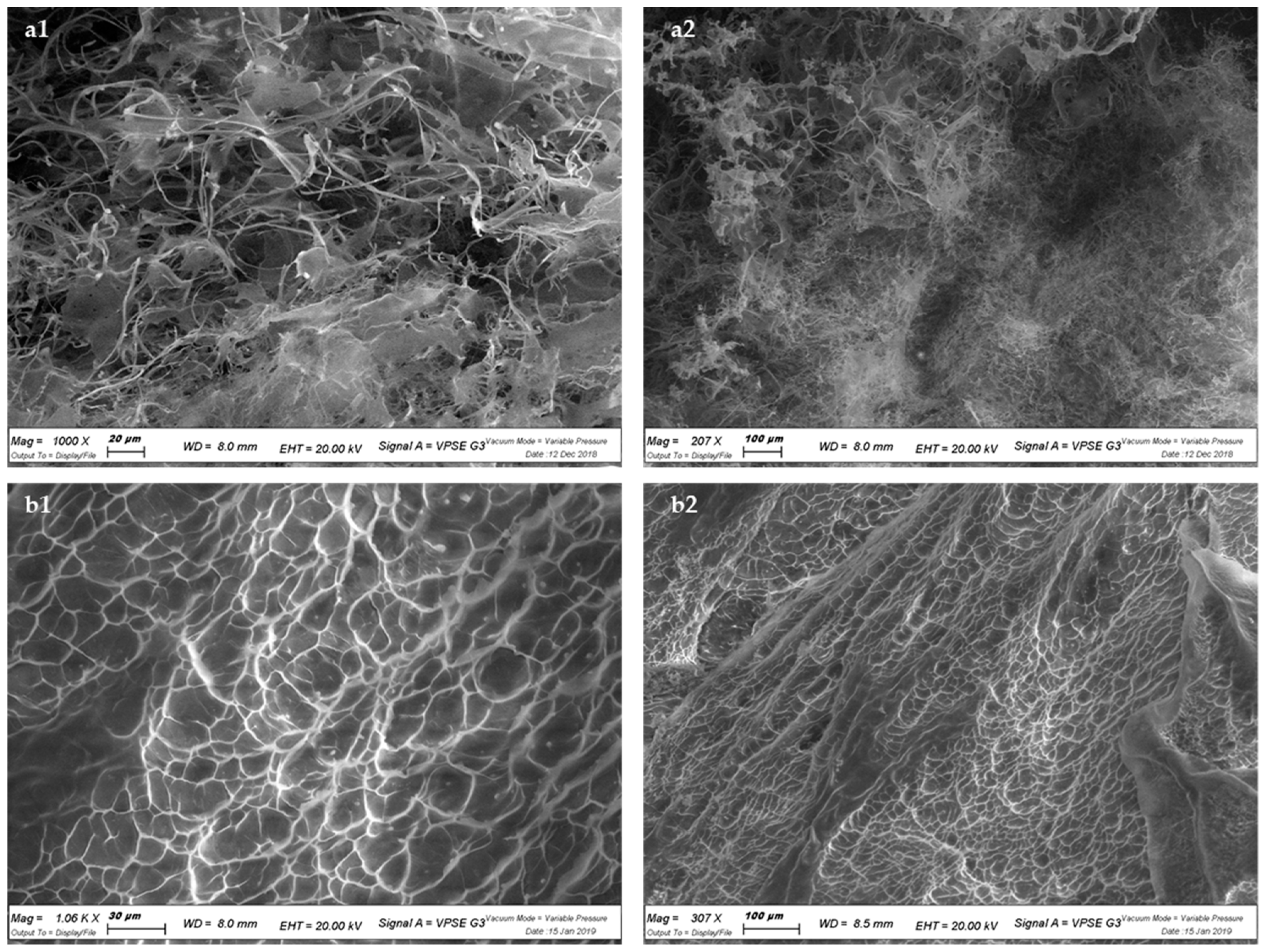 Pharmaceutics 13 01672 g005