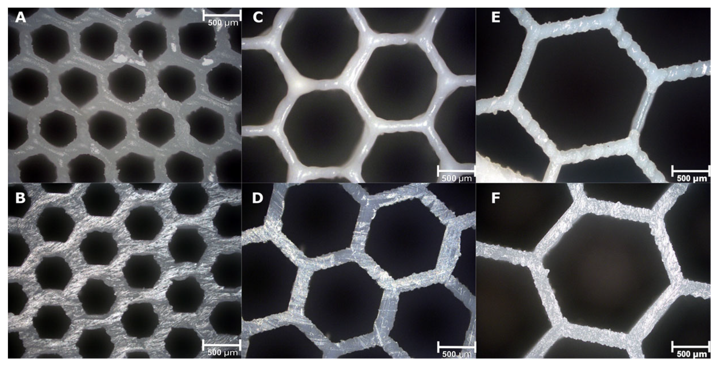 Pharmaceutics 13 01679 g006