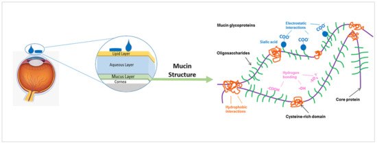 Pharmaceutics 13 01685 g007 550