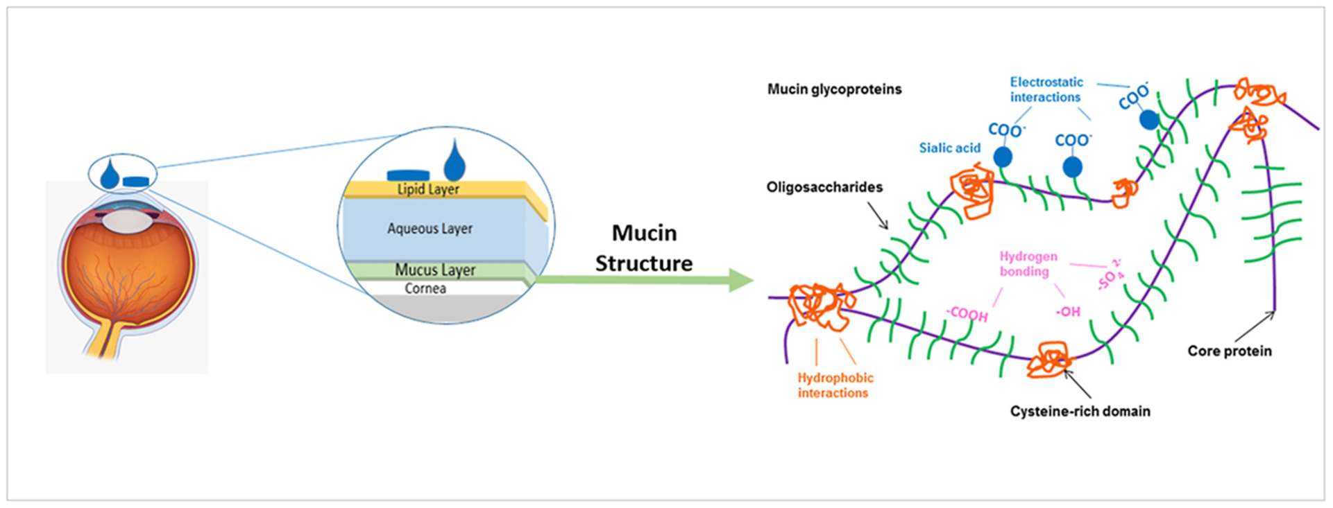Pharmaceutics 13 01685 g007