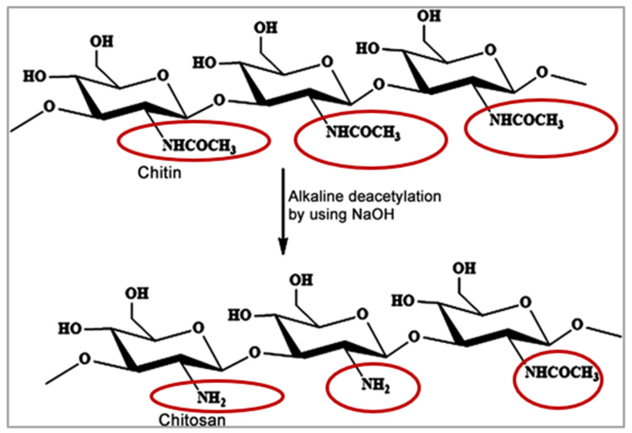 Pharmaceutics 13 01685 g008