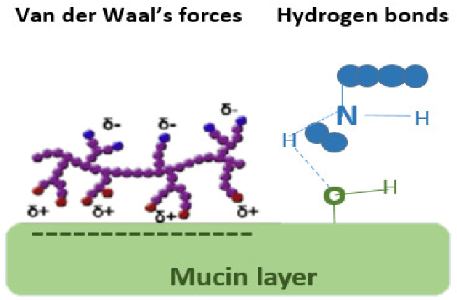 Pharmaceutics 13 01685 i004