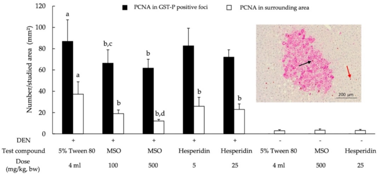 Pharmaceutics 13 01687 g005