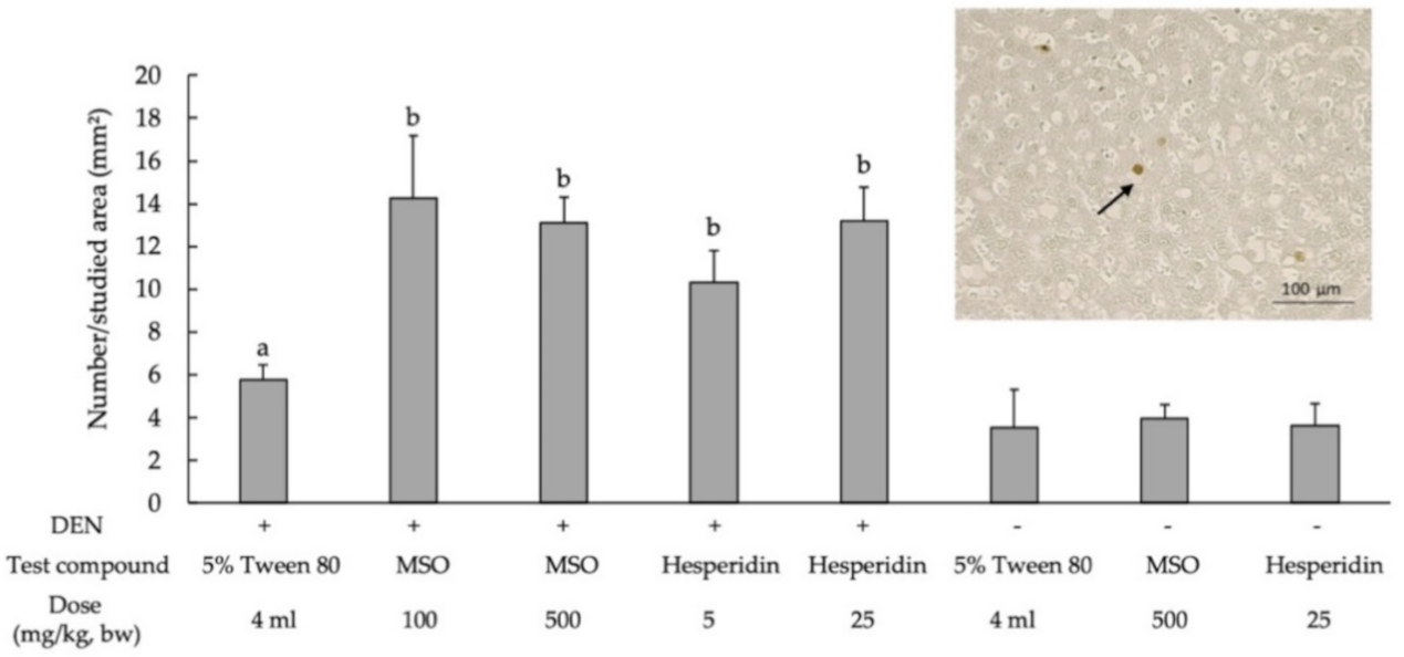 Pharmaceutics 13 01687 g006