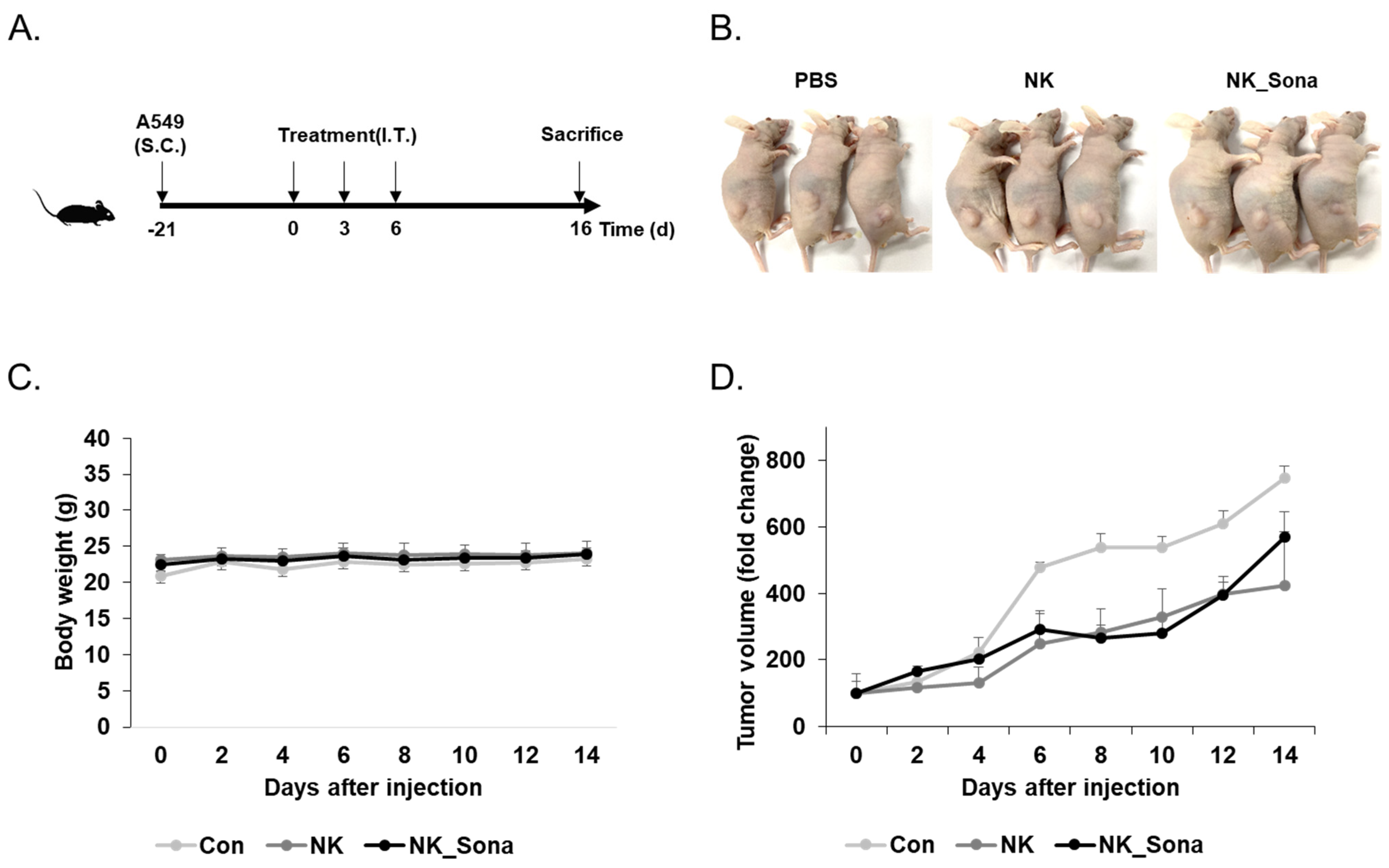 Pharmaceutics 13 01689 g005