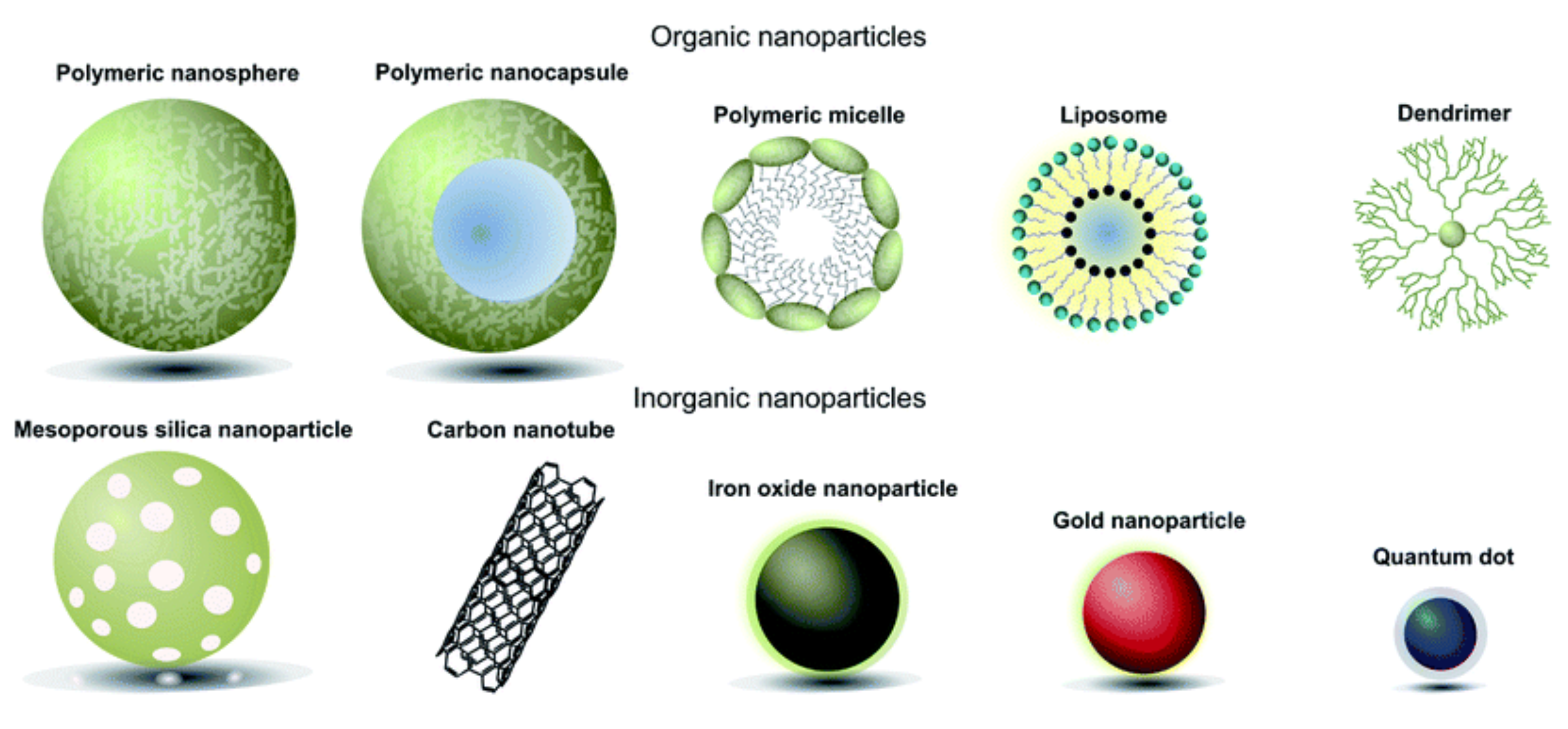 Pharmaceutics 13 01694 g002