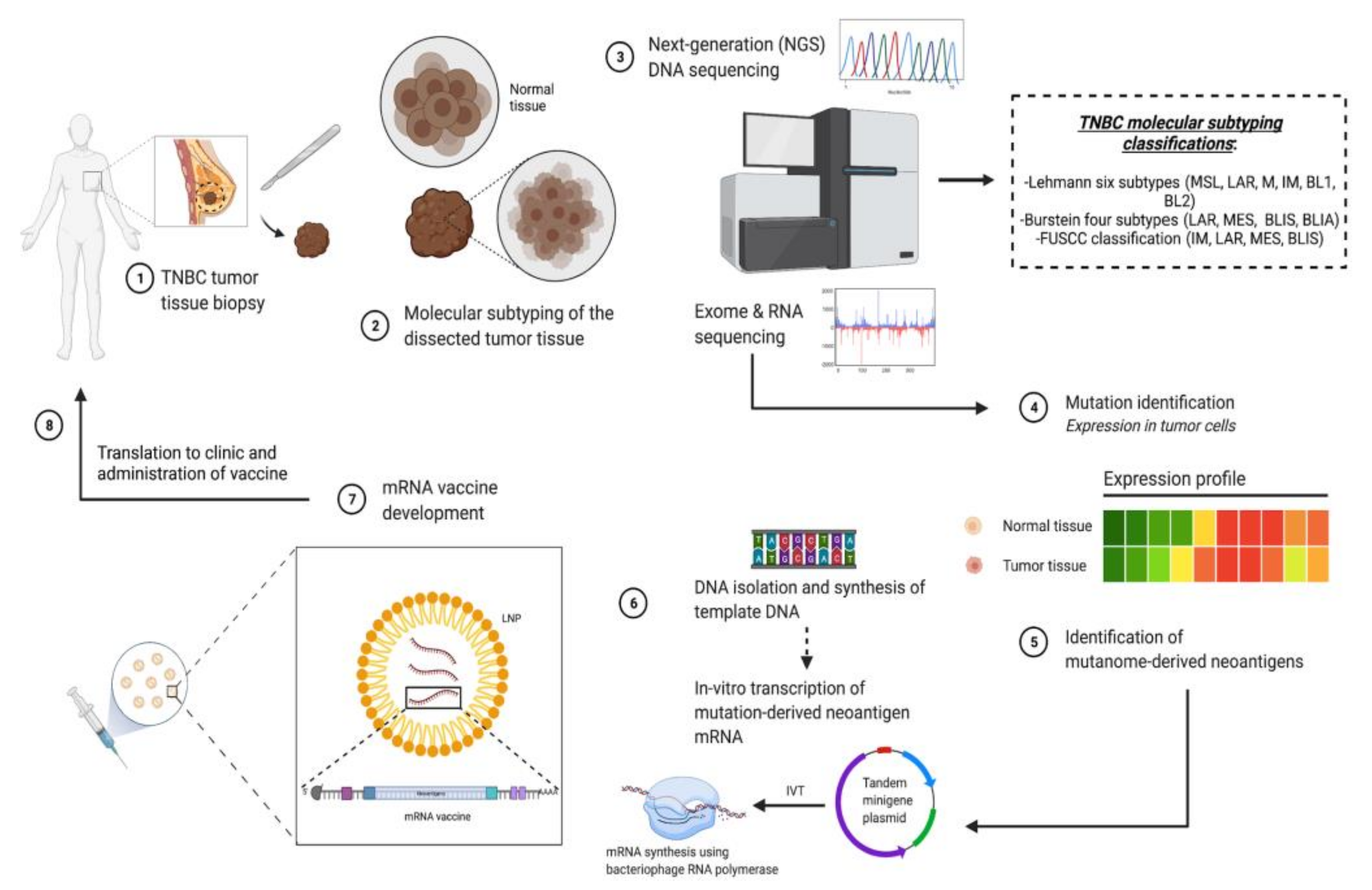 Pharmaceutics 13 01694 g003