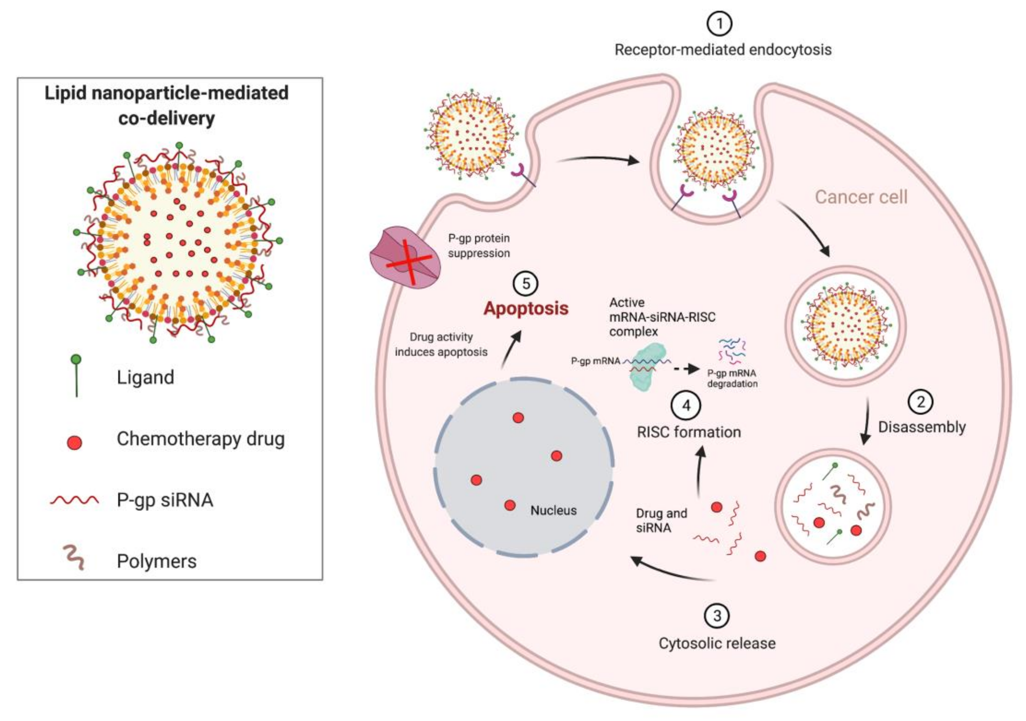 Pharmaceutics 13 01694 g005