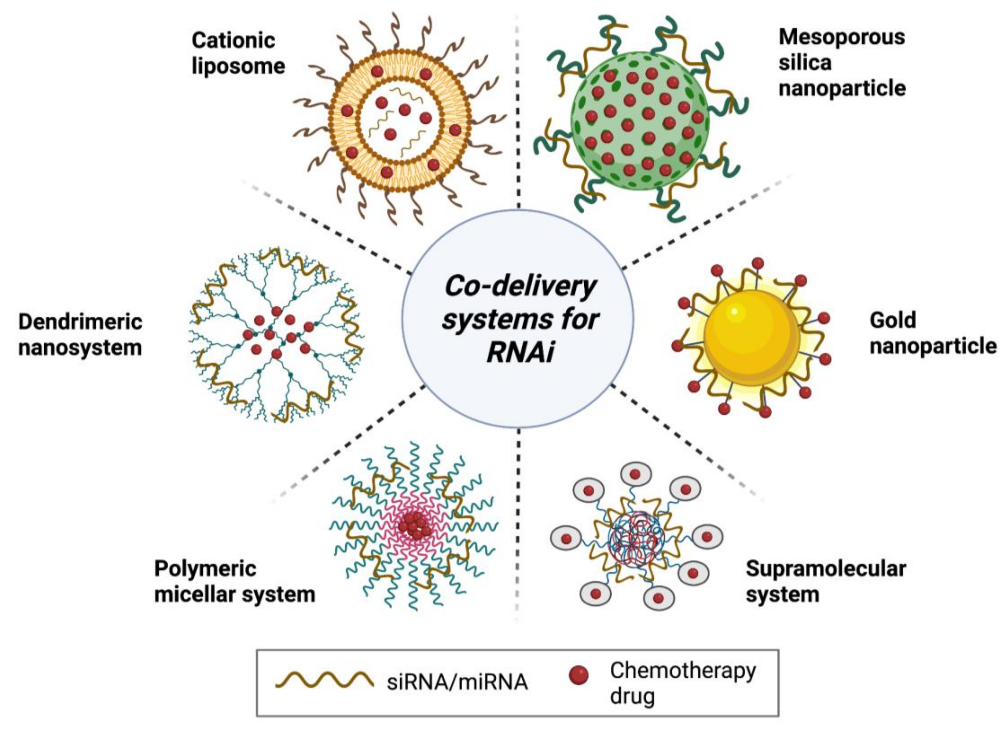Pharmaceutics 13 01694 g007