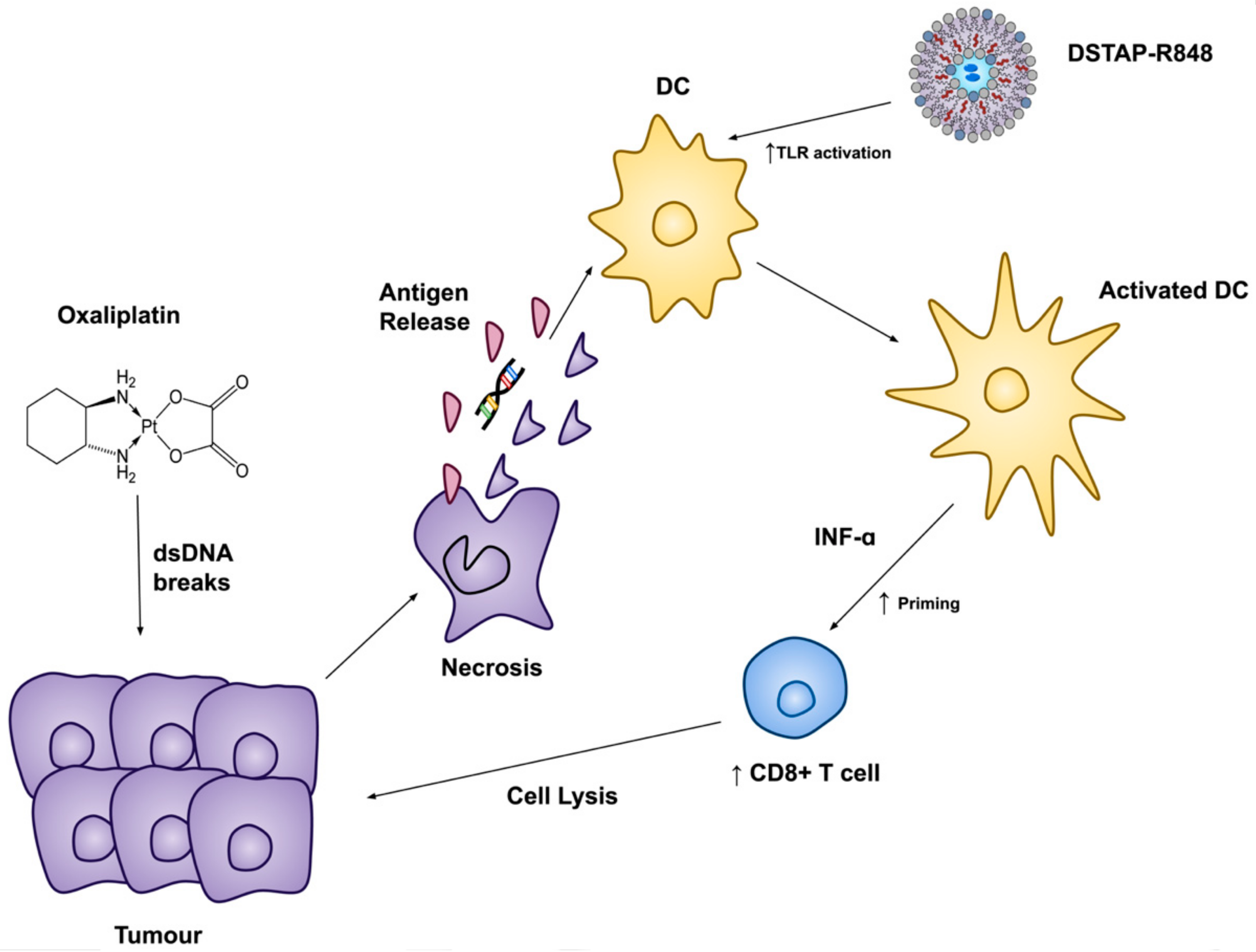 Pharmaceutics 13 01696 g006