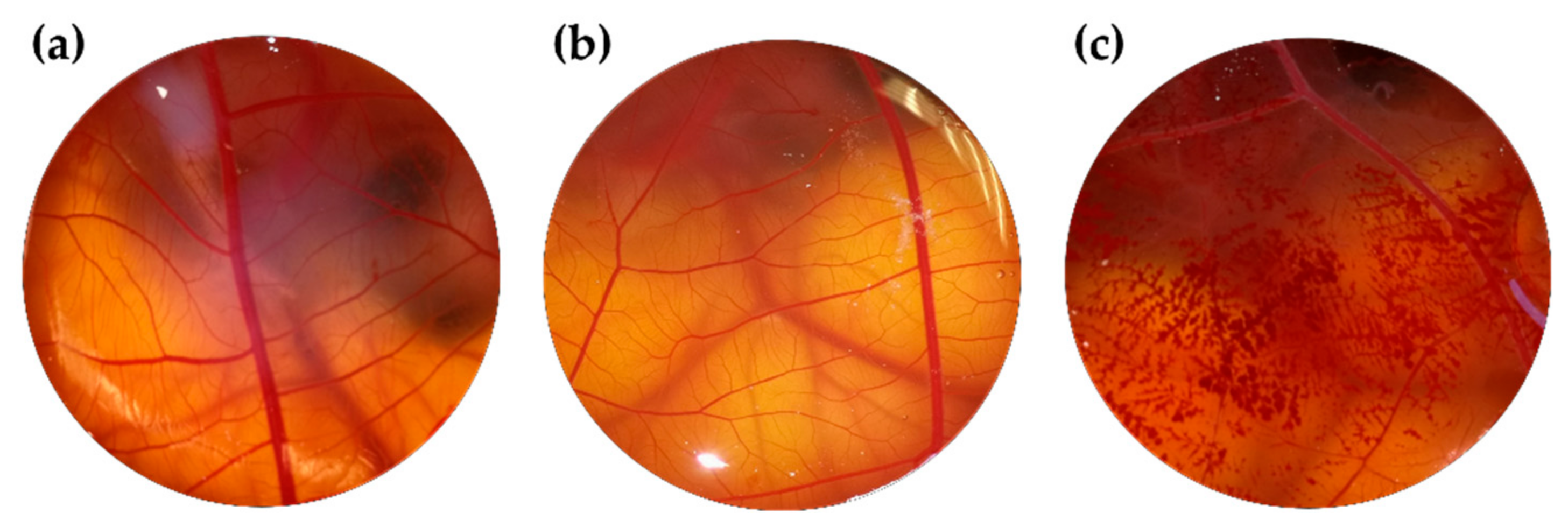Pharmaceutics 13 01698 g006
