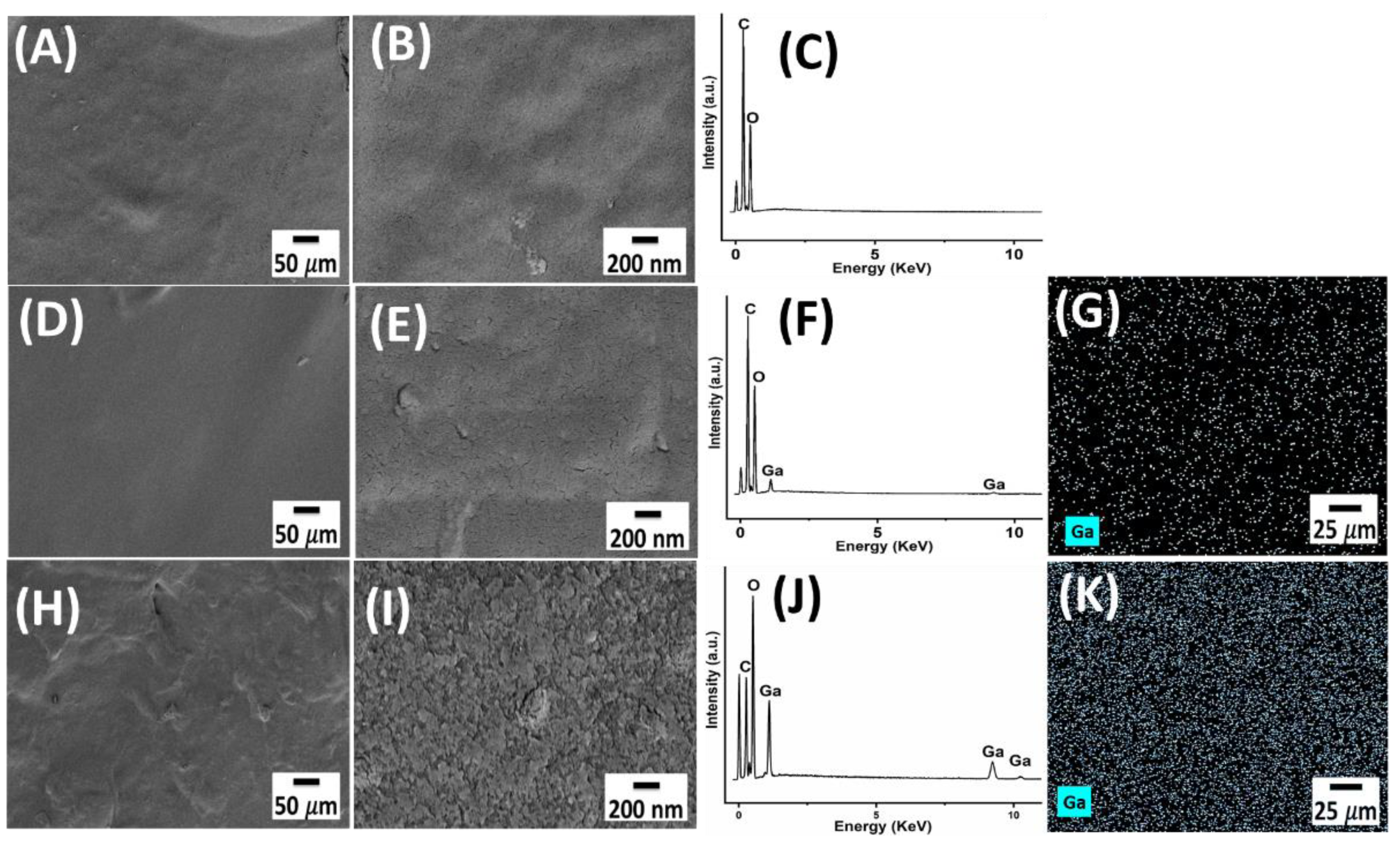 Pharmaceutics 13 01702 g001