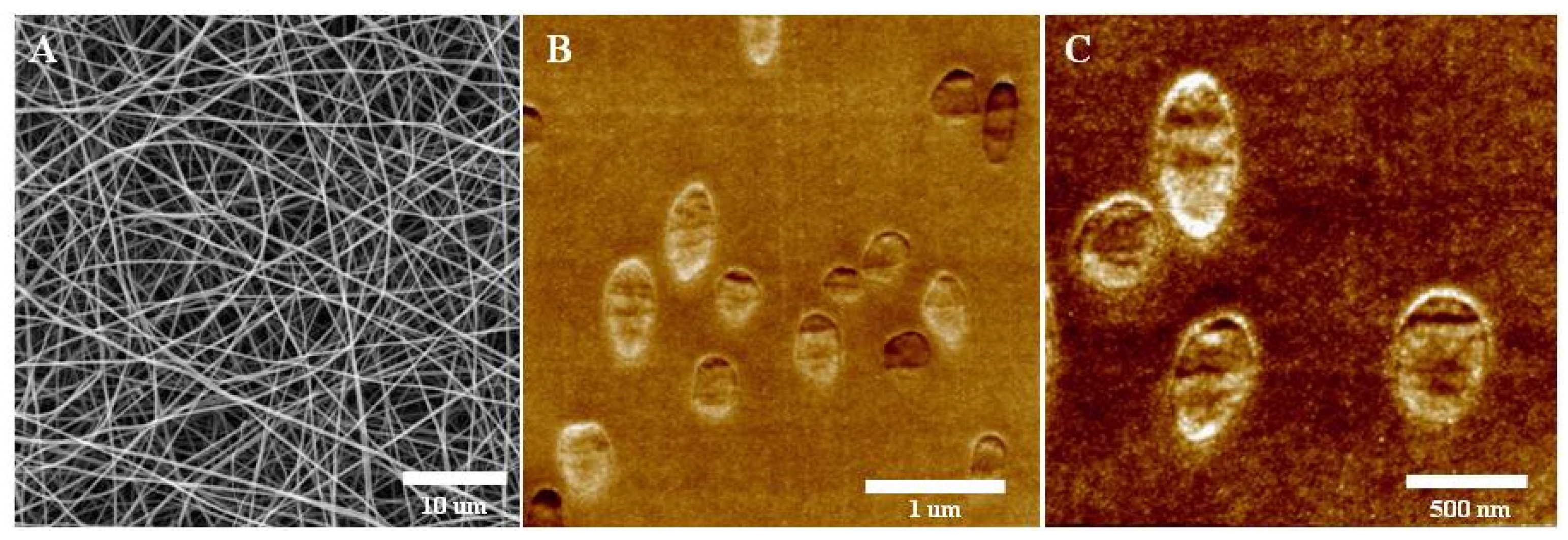 Pharmaceutics 13 01704 g001 Pharmaceutics 13 01704 g001