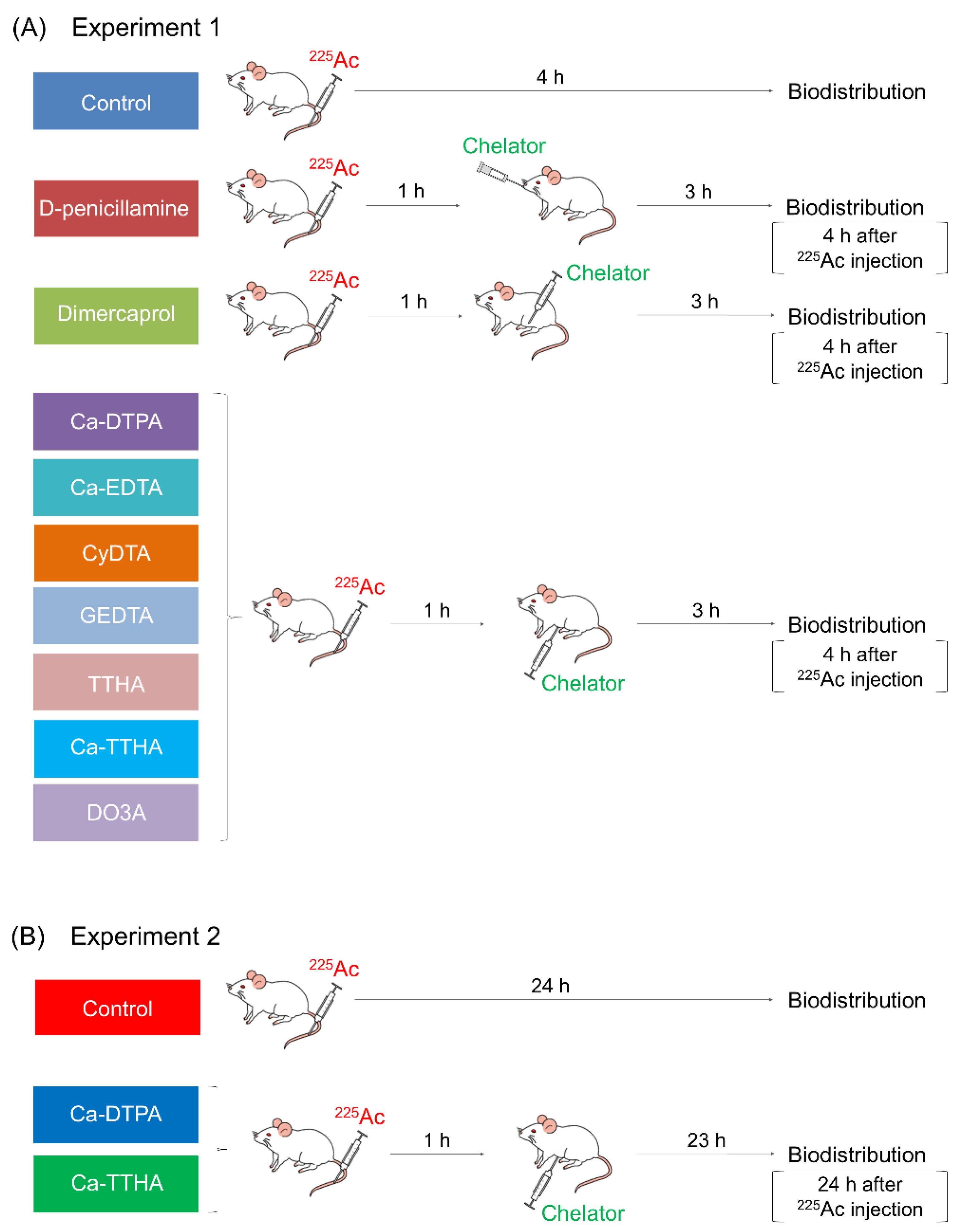 Pharmaceutics 13 01706 g002