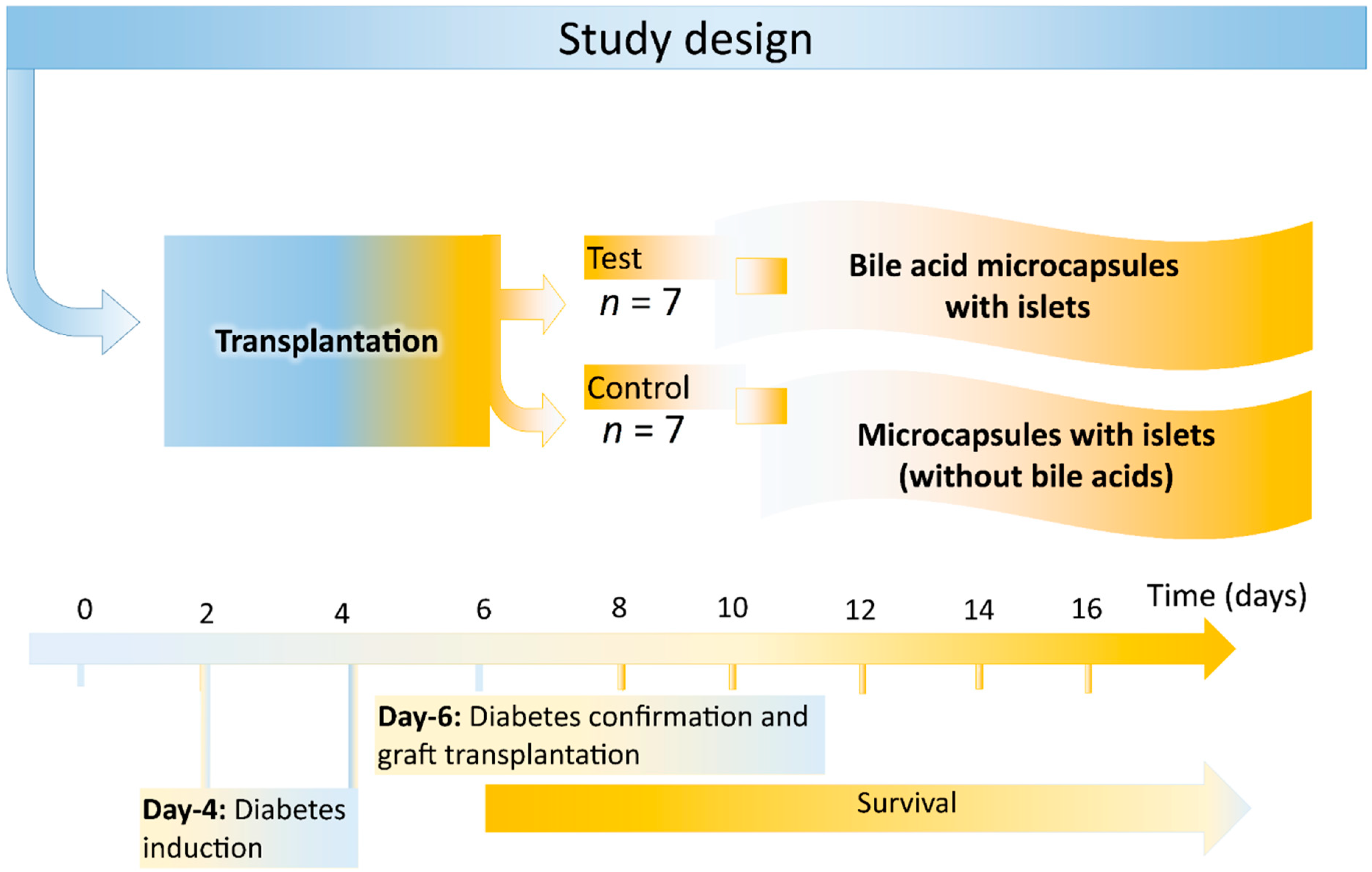 Pharmaceutics 13 01713 g001