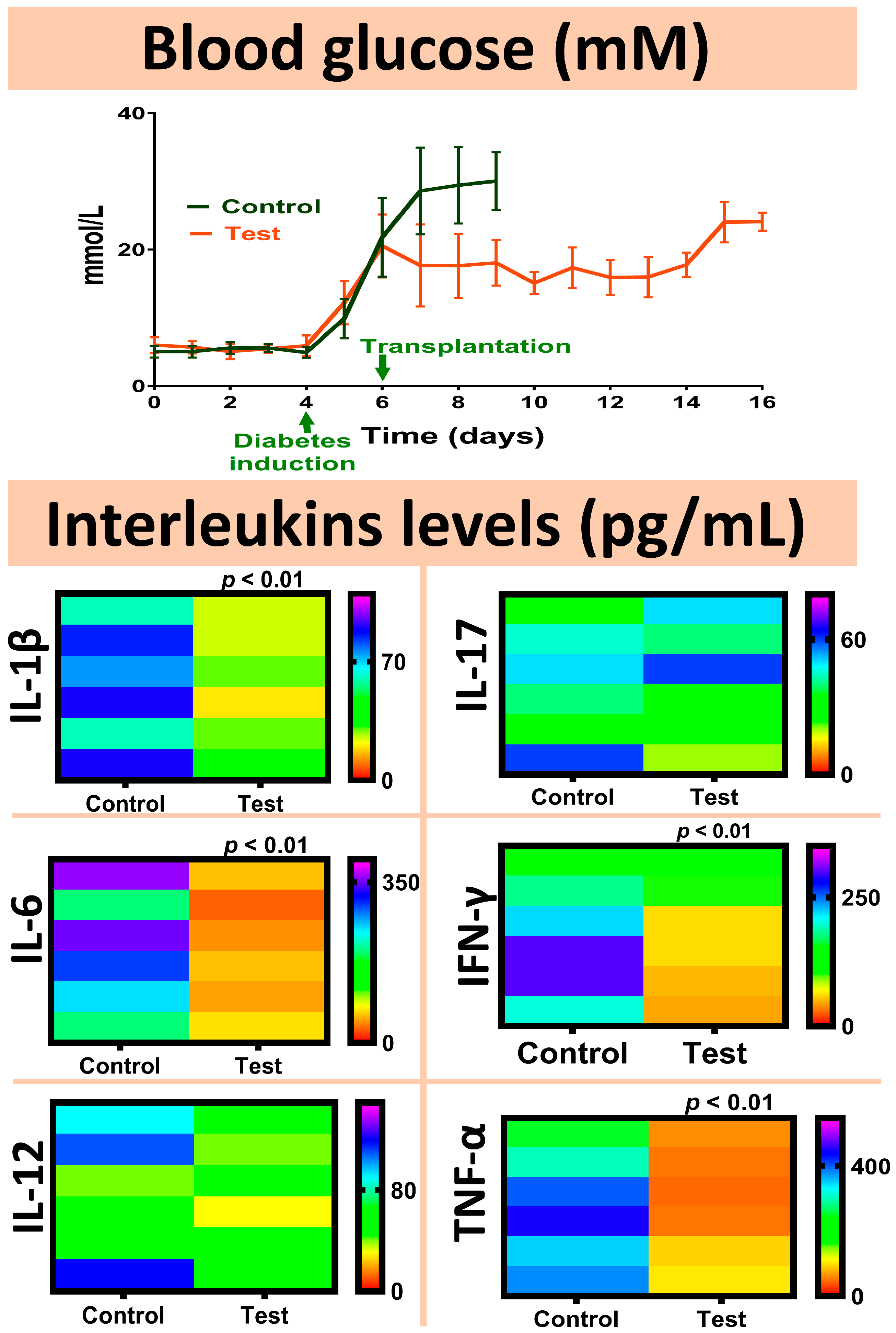 Pharmaceutics 13 01713 g004