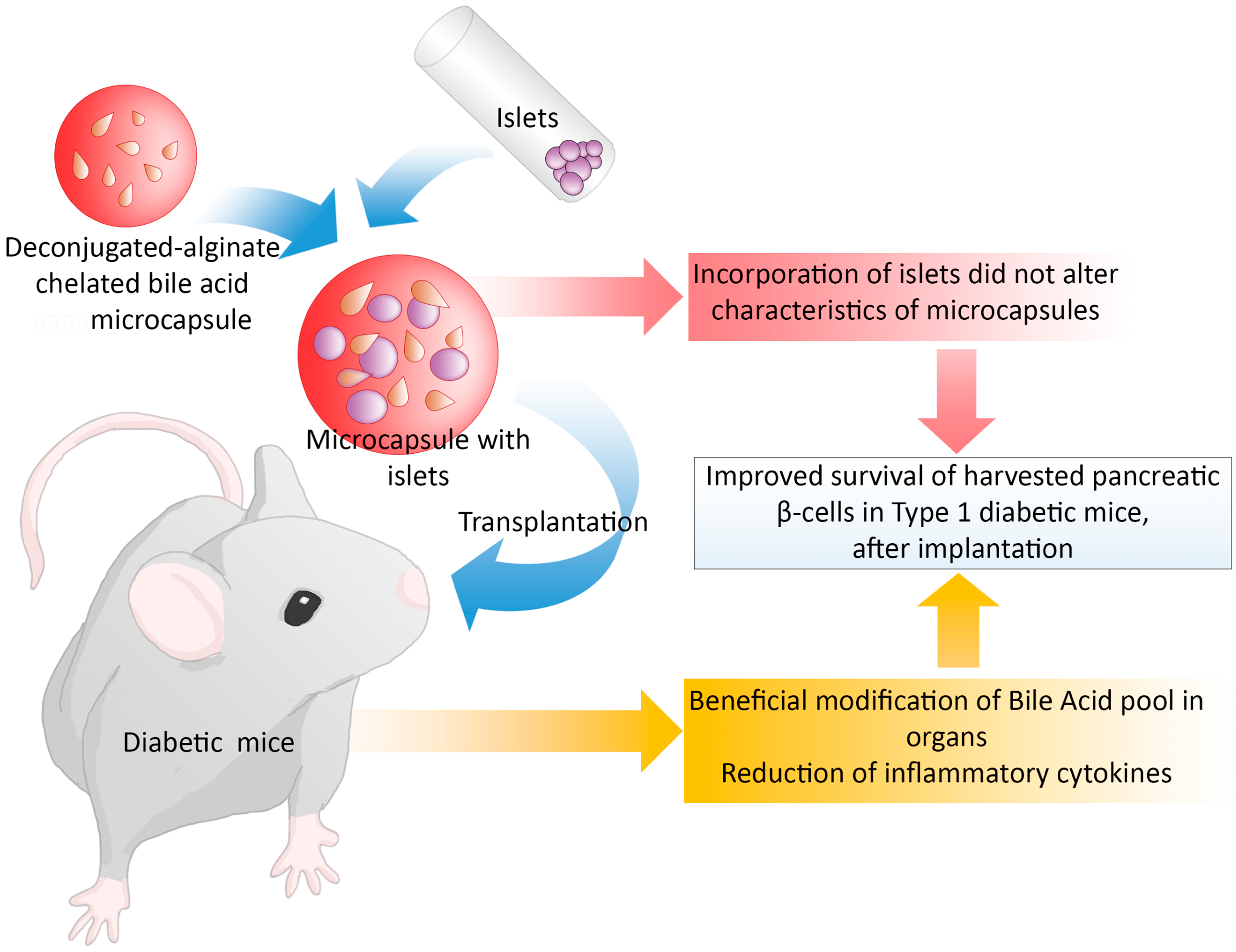 Pharmaceutics 13 01713 g006