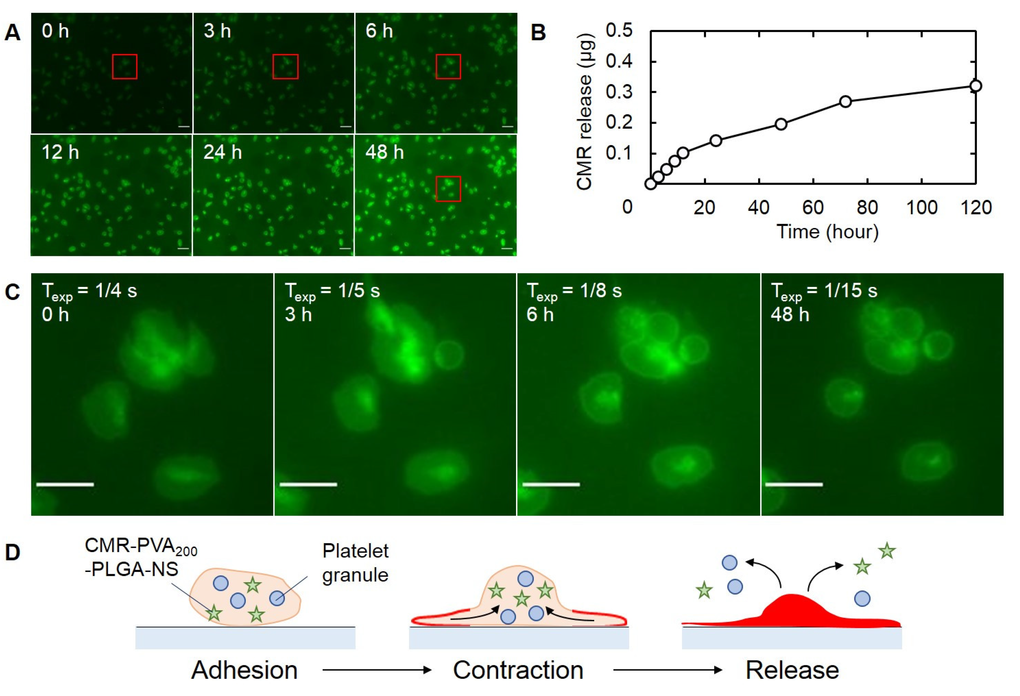Pharmaceutics 13 01724 g007