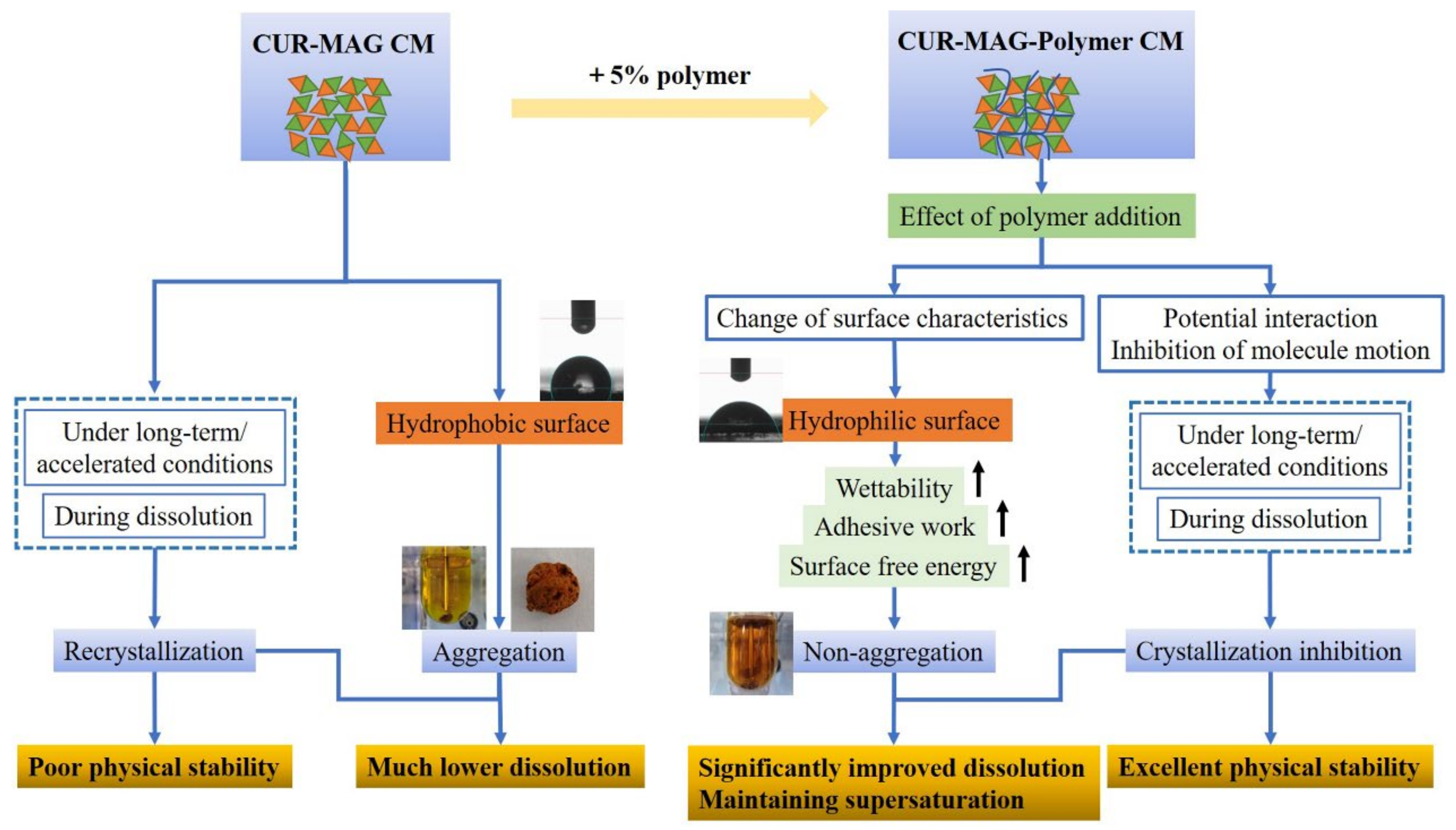 Pharmaceutics 13 01725 g014
