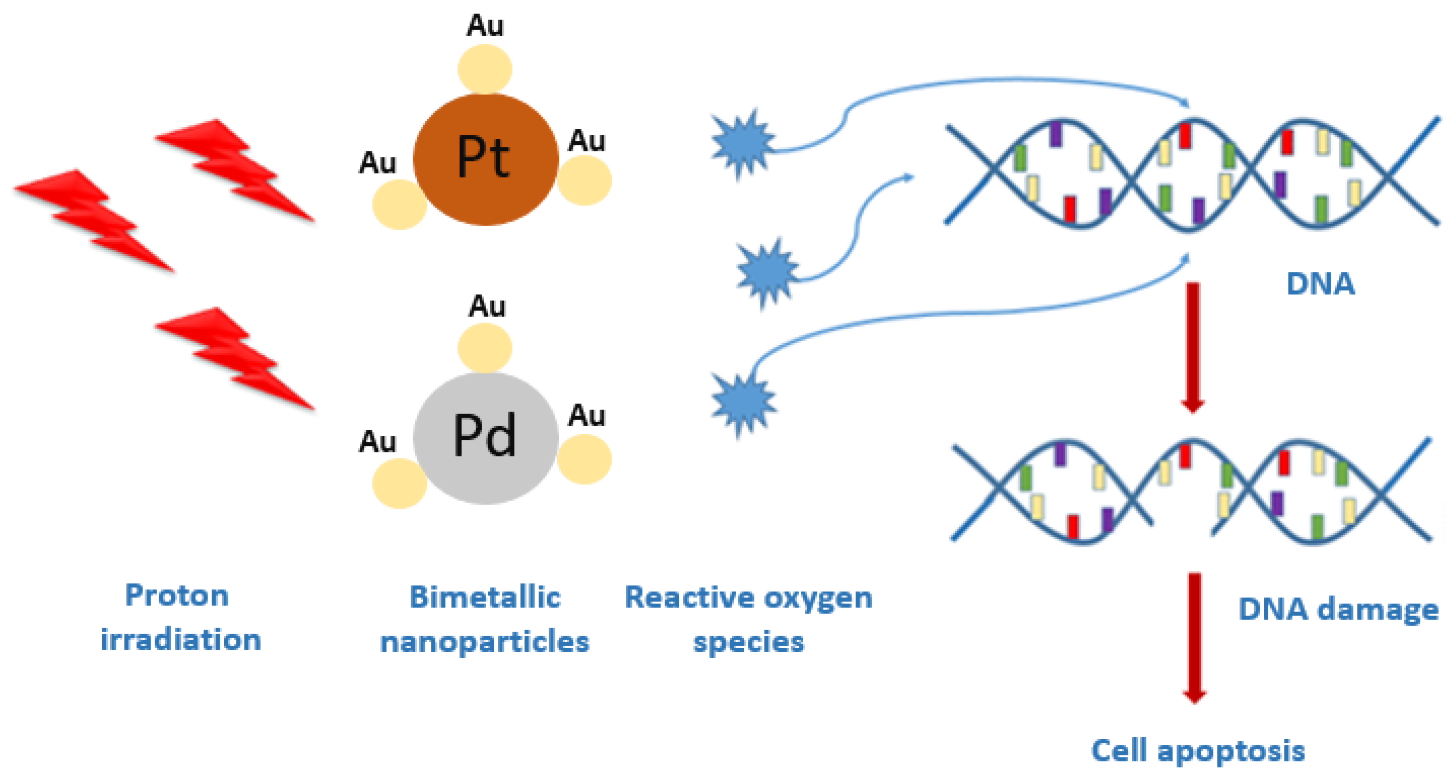 Pharmaceutics 13 01726 g001
