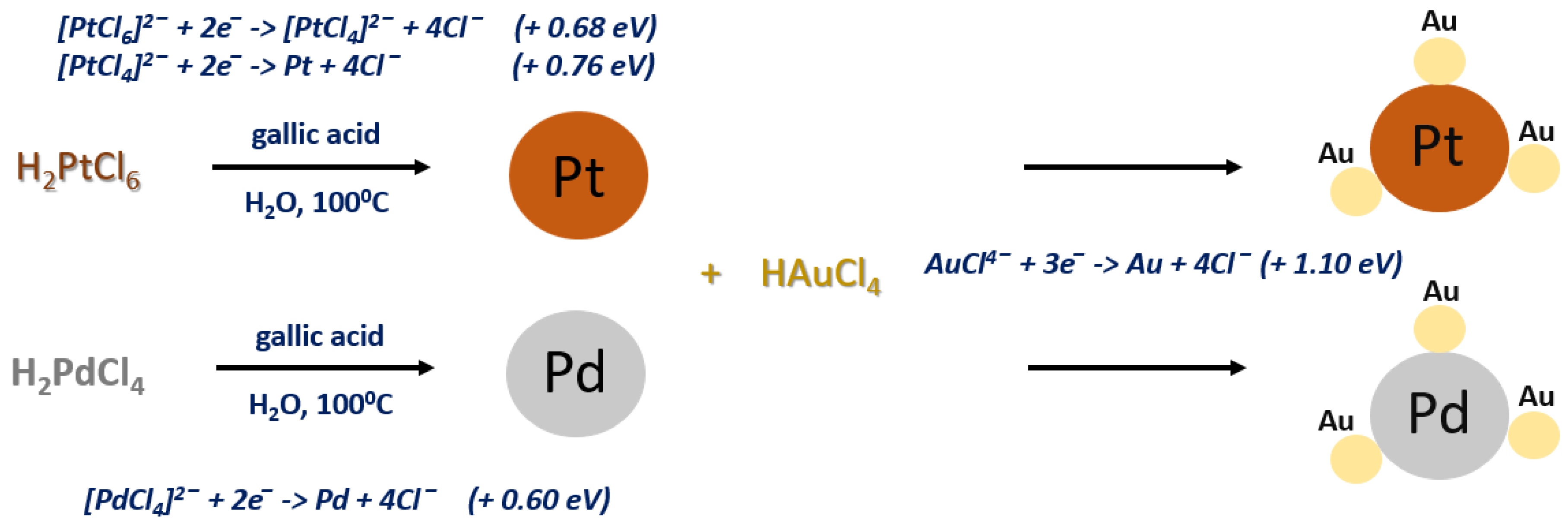 Pharmaceutics 13 01726 g002