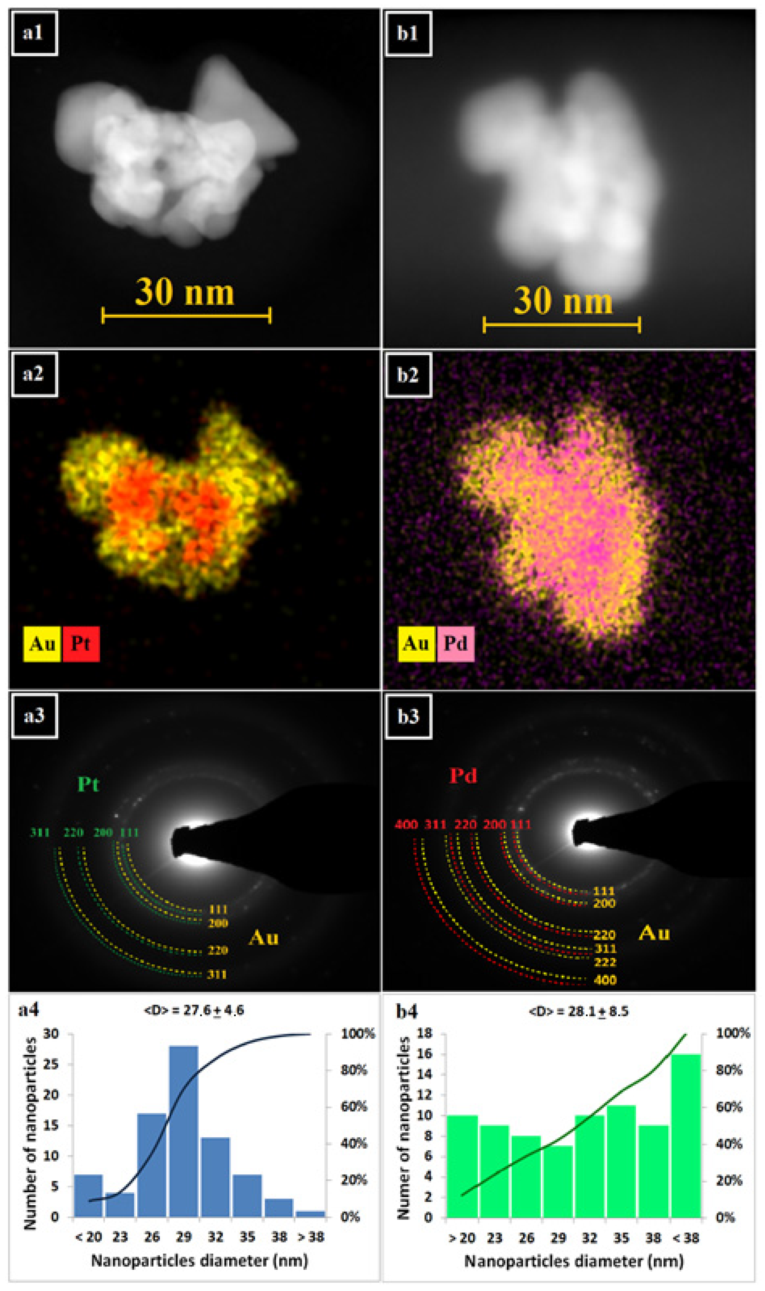 Pharmaceutics 13 01726 g003