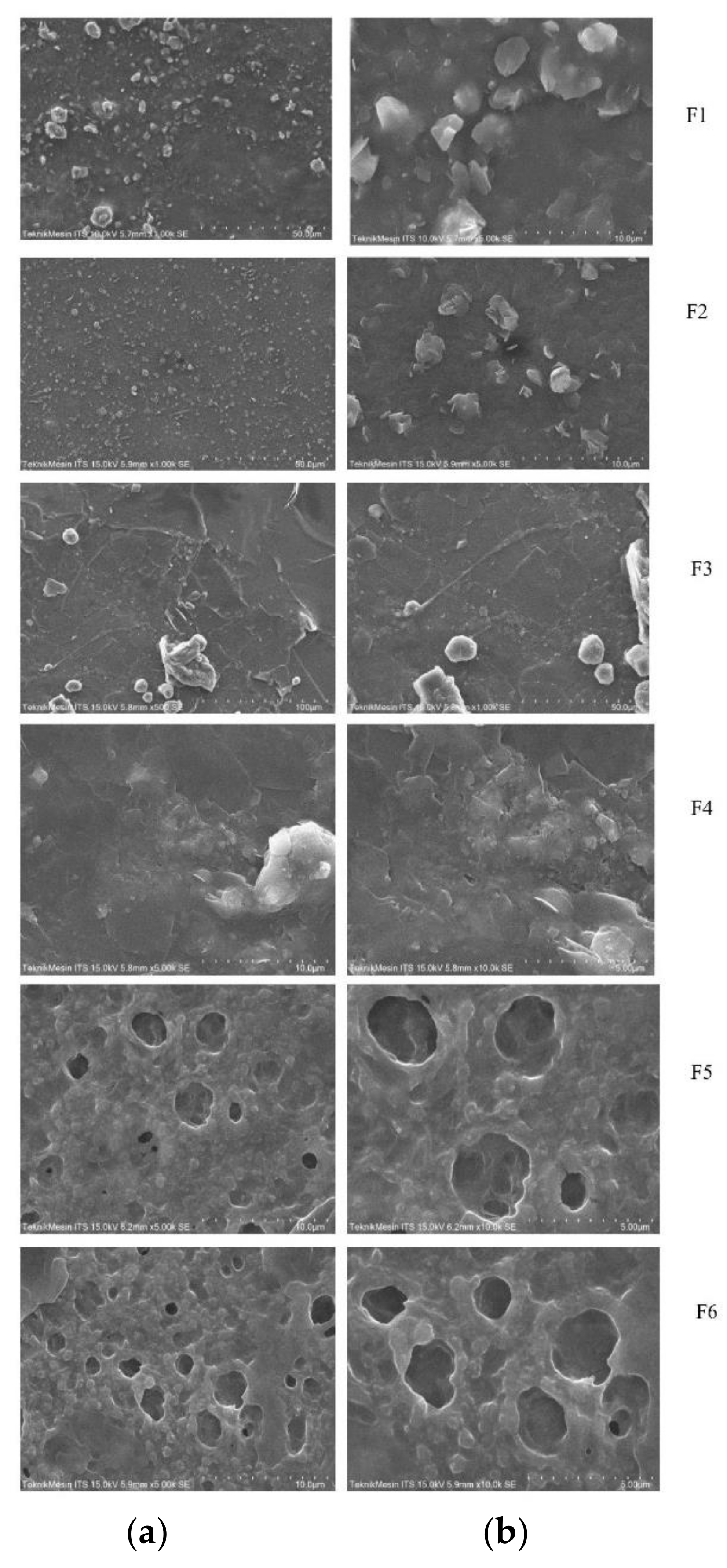 Pharmaceutics 13 01727 g008 Pharmaceutics 13 01727 g008