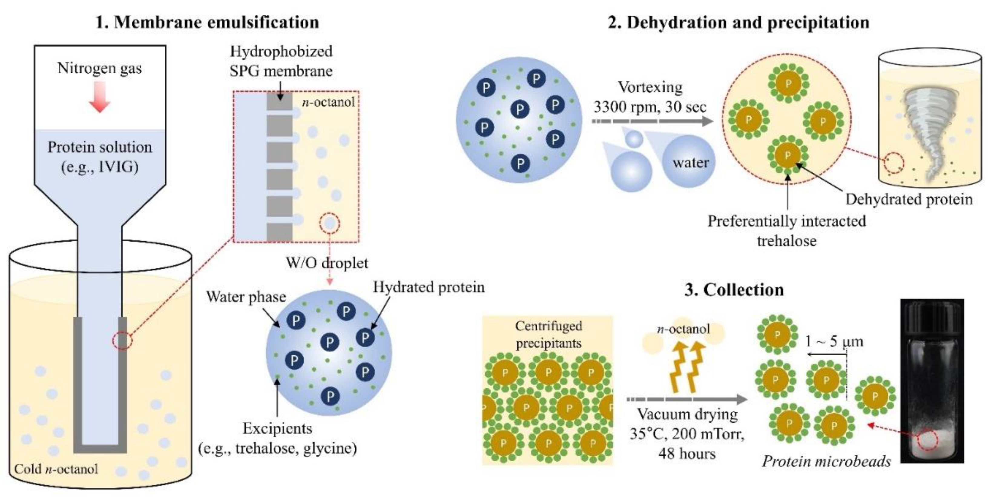 Pharmaceutics 13 01738 g001