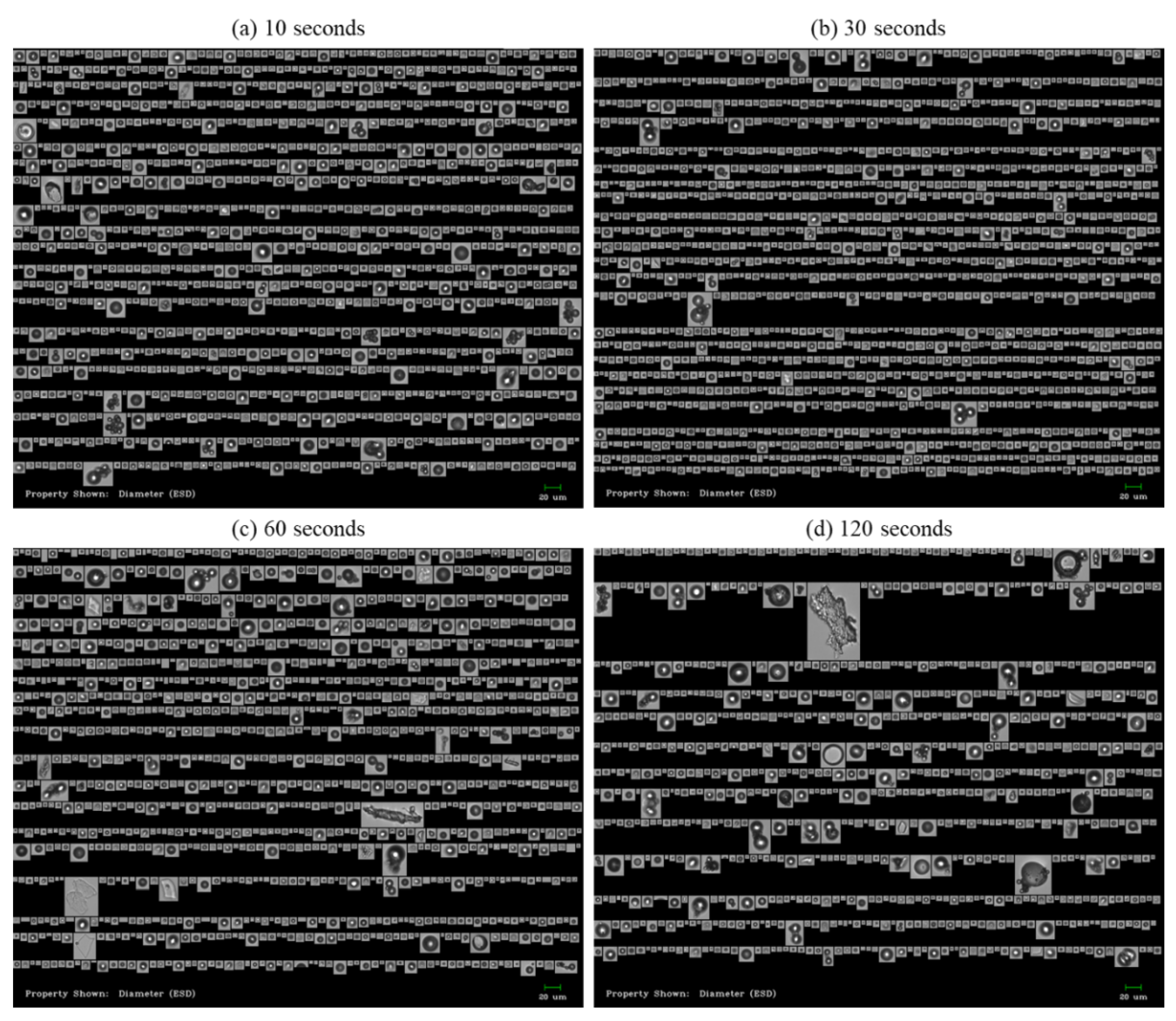 Pharmaceutics 13 01738 g003
