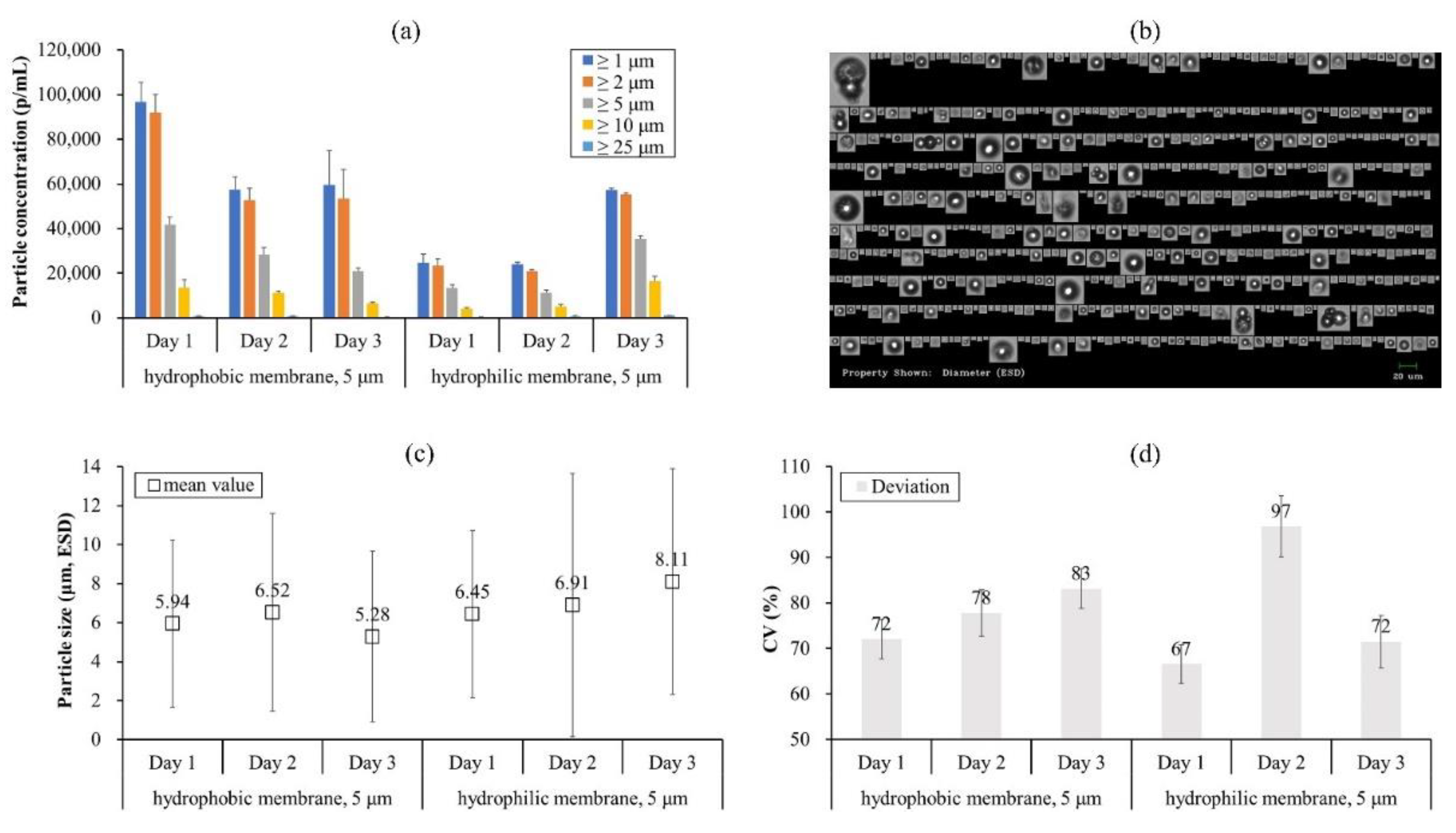 Pharmaceutics 13 01738 g004