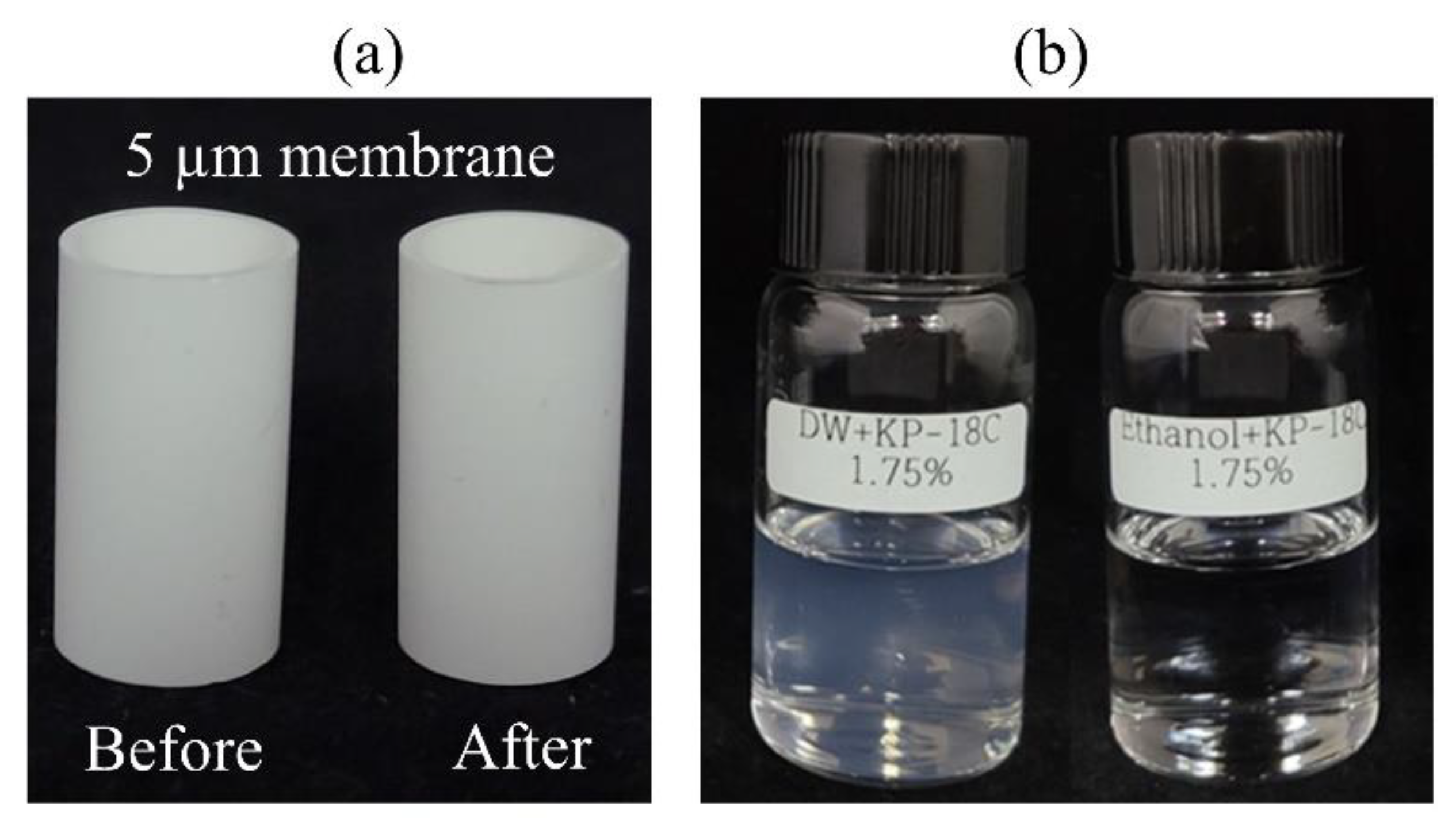 Pharmaceutics 13 01738 g006