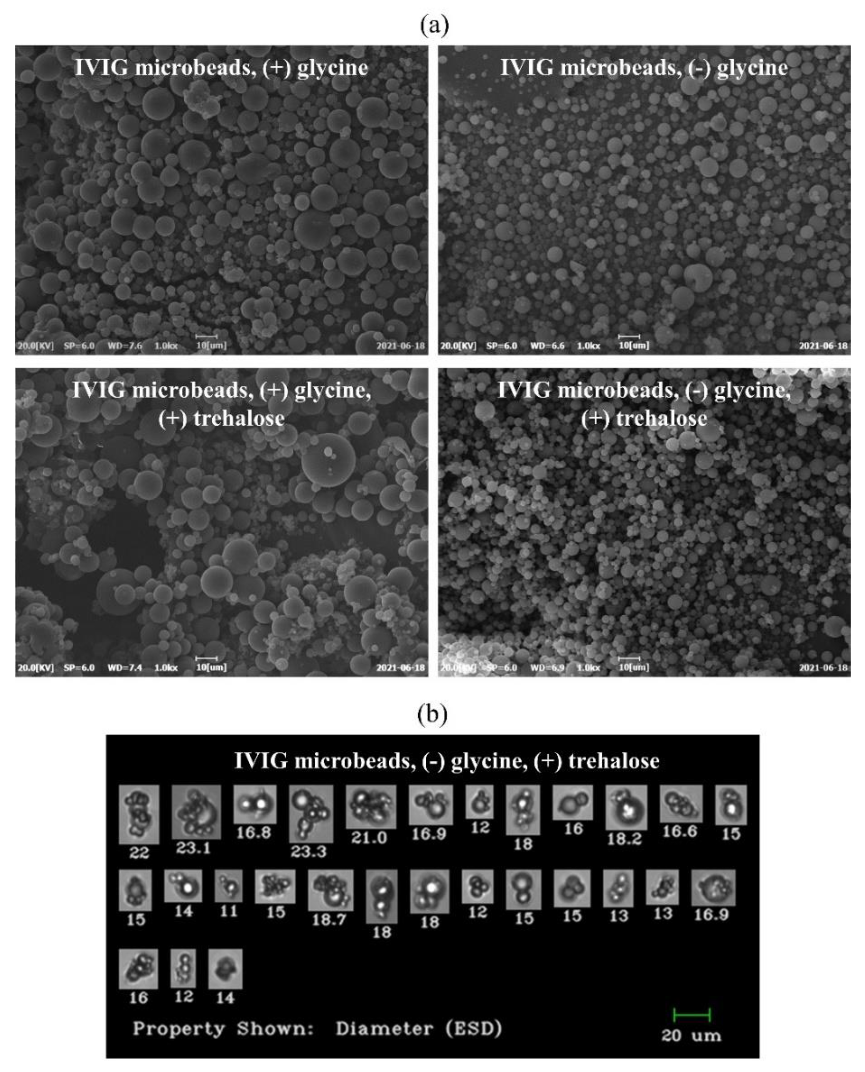 Pharmaceutics 13 01738 g011