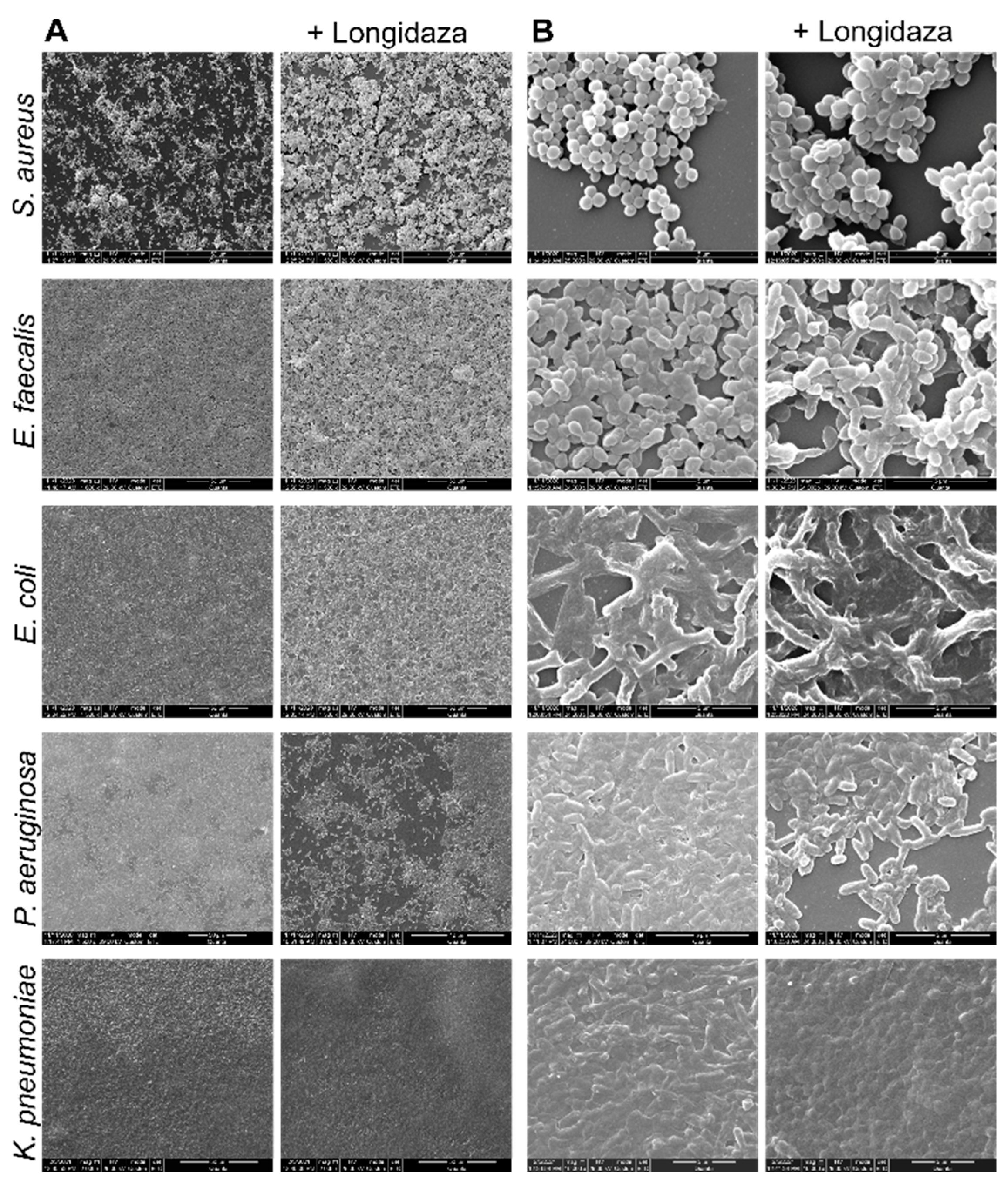 Pharmaceutics 13 01740 g003