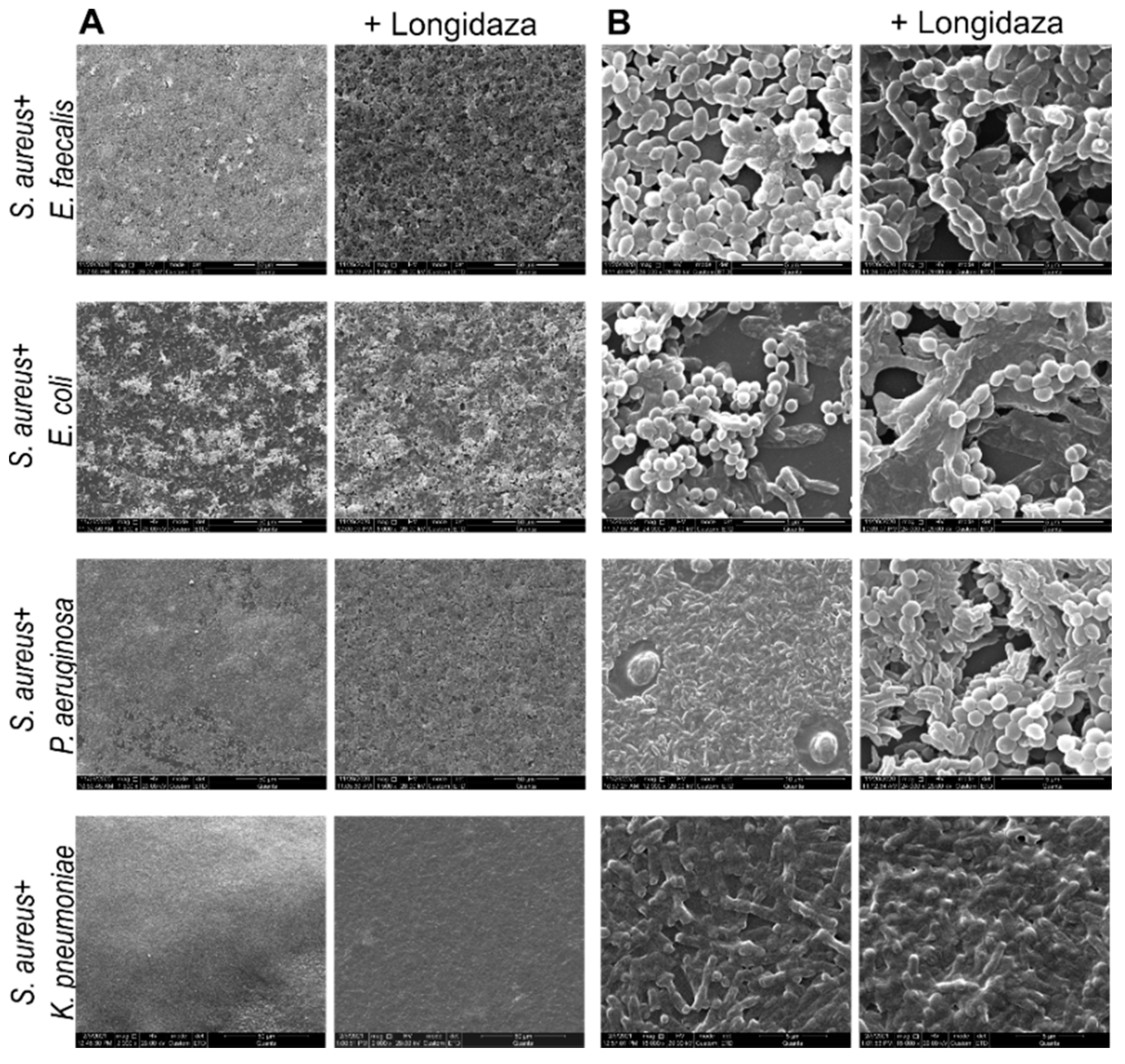 Pharmaceutics 13 01740 g004
