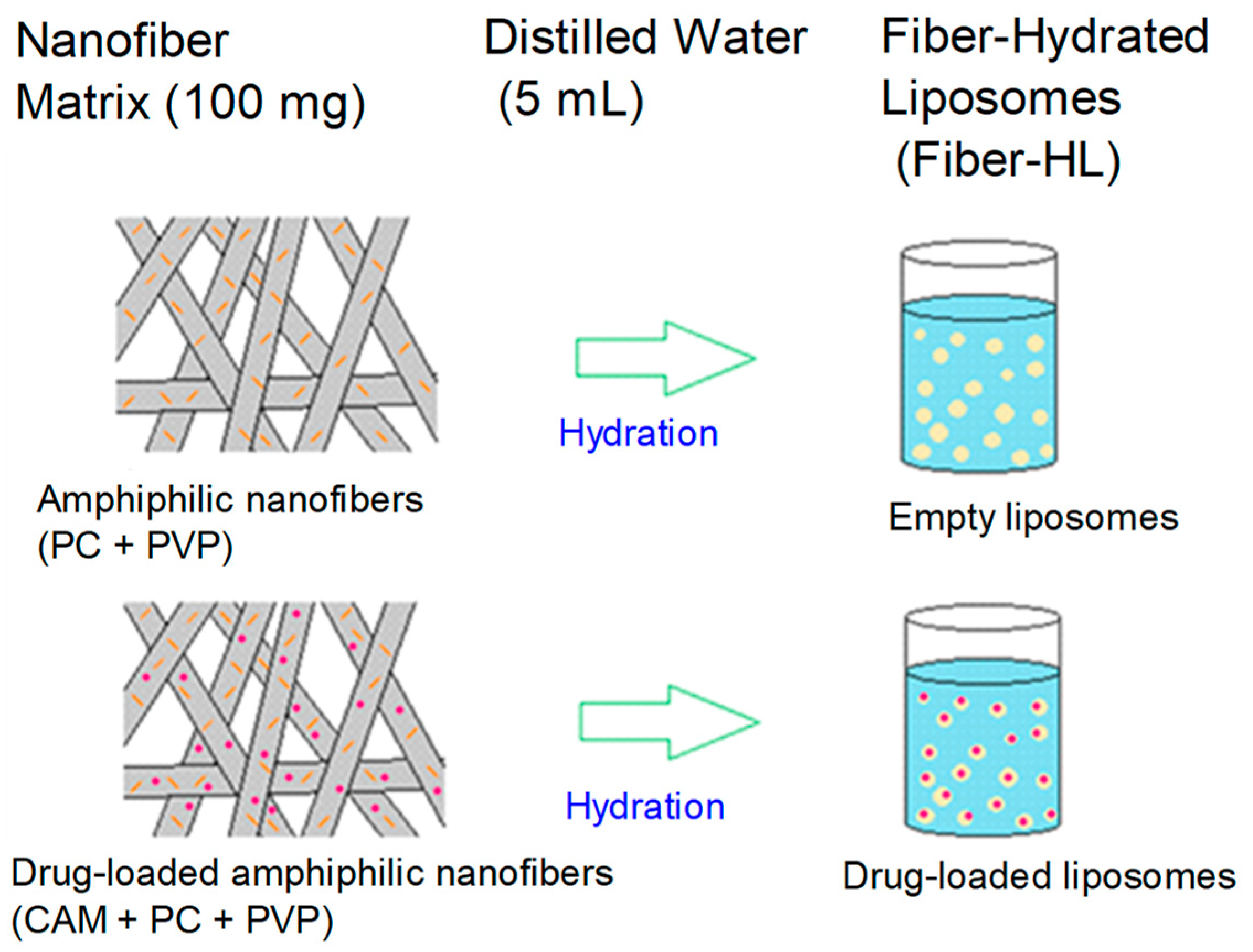 Pharmaceutics 13 01742 g001