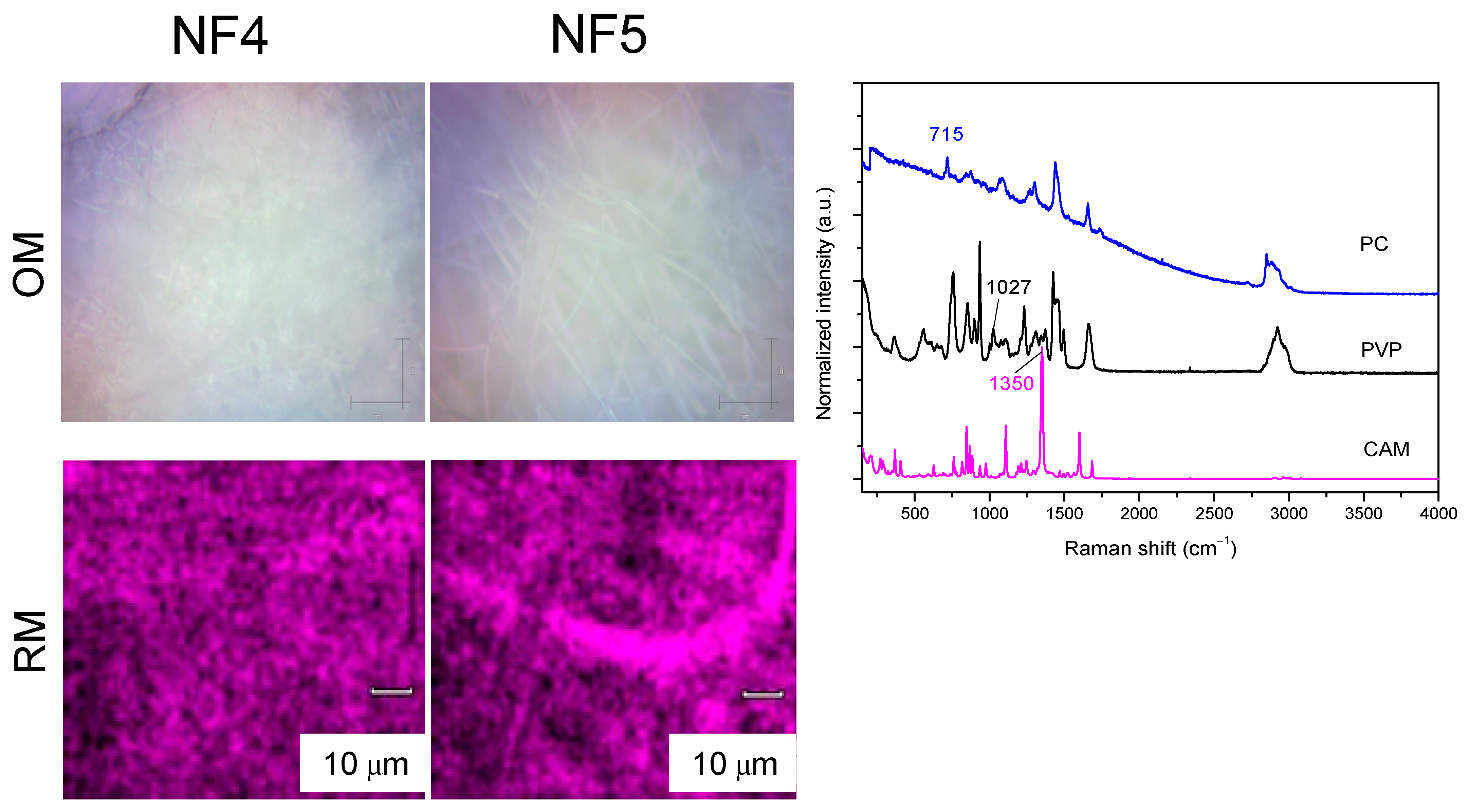 Pharmaceutics 13 01742 g004