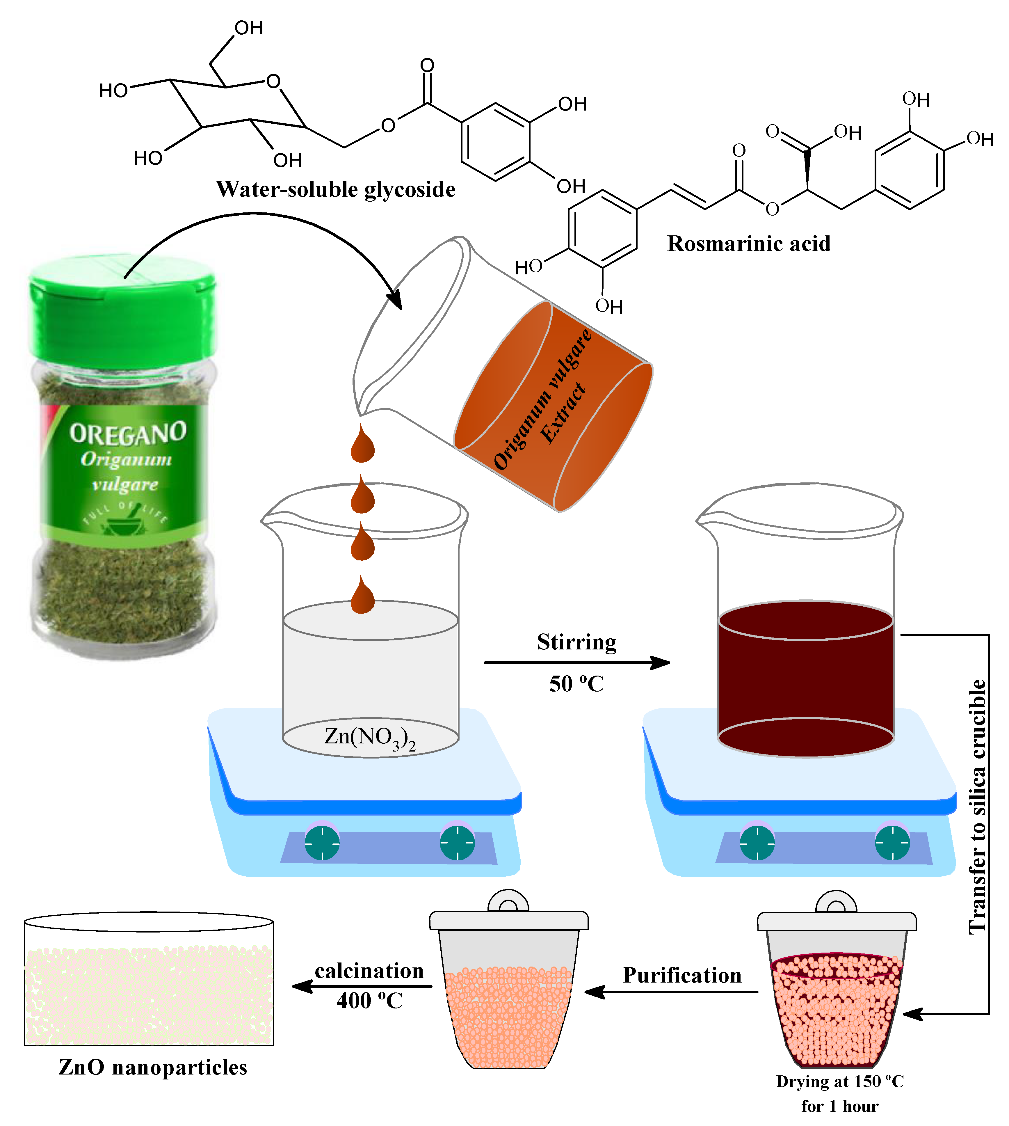 Pharmaceutics 13 01743 g002
