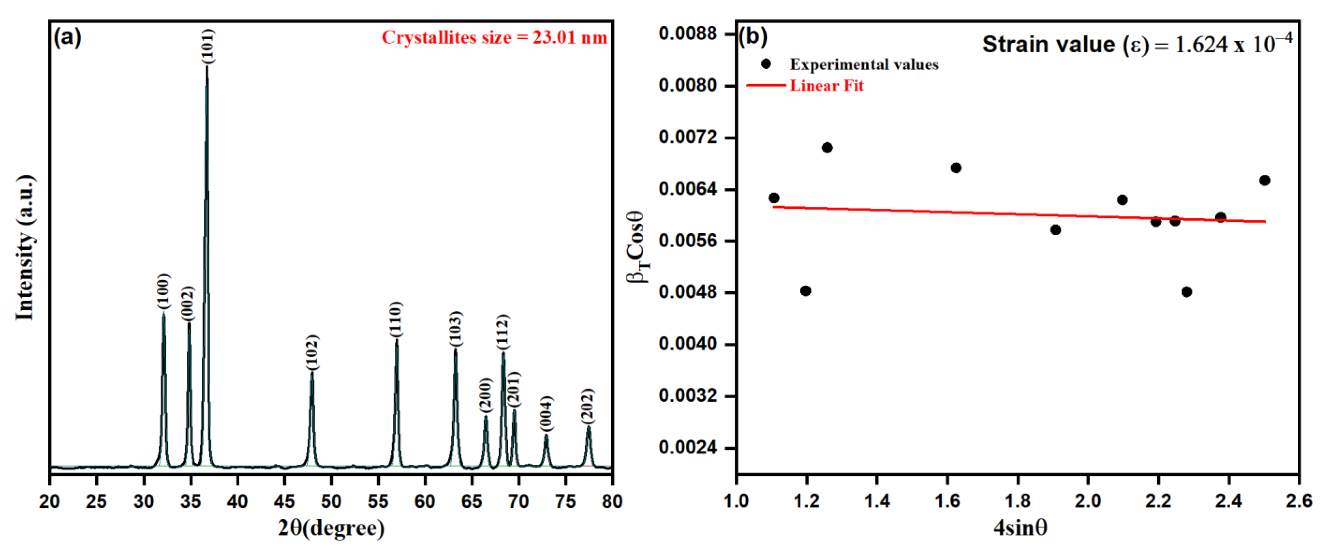 Pharmaceutics 13 01743 g003