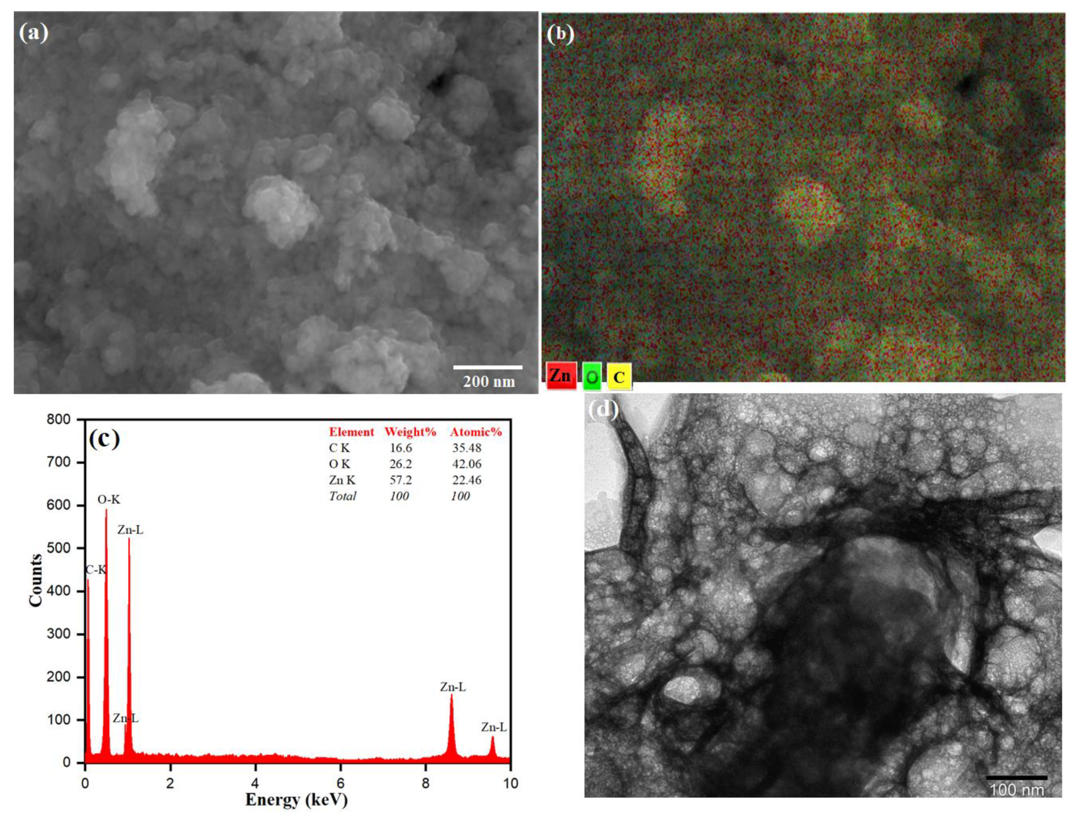 Pharmaceutics 13 01743 g005
