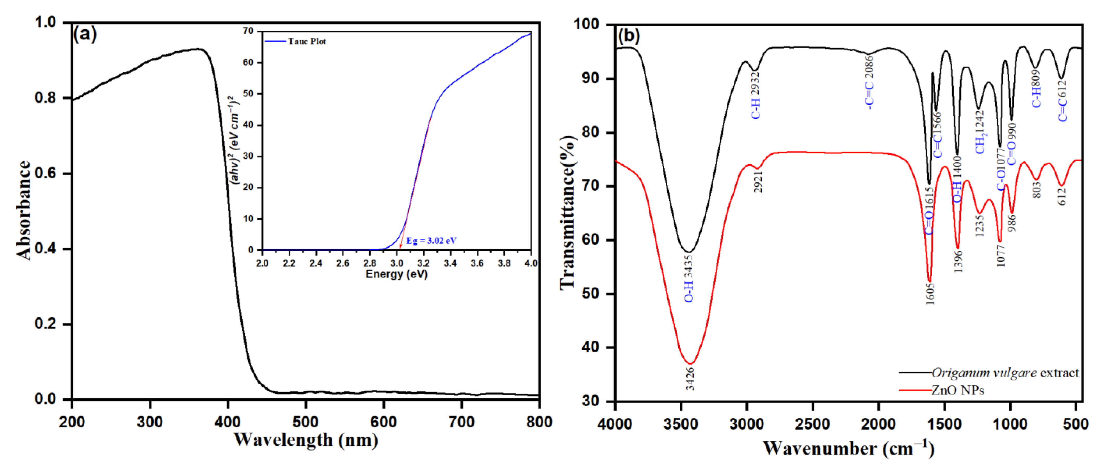 Pharmaceutics 13 01743 g006