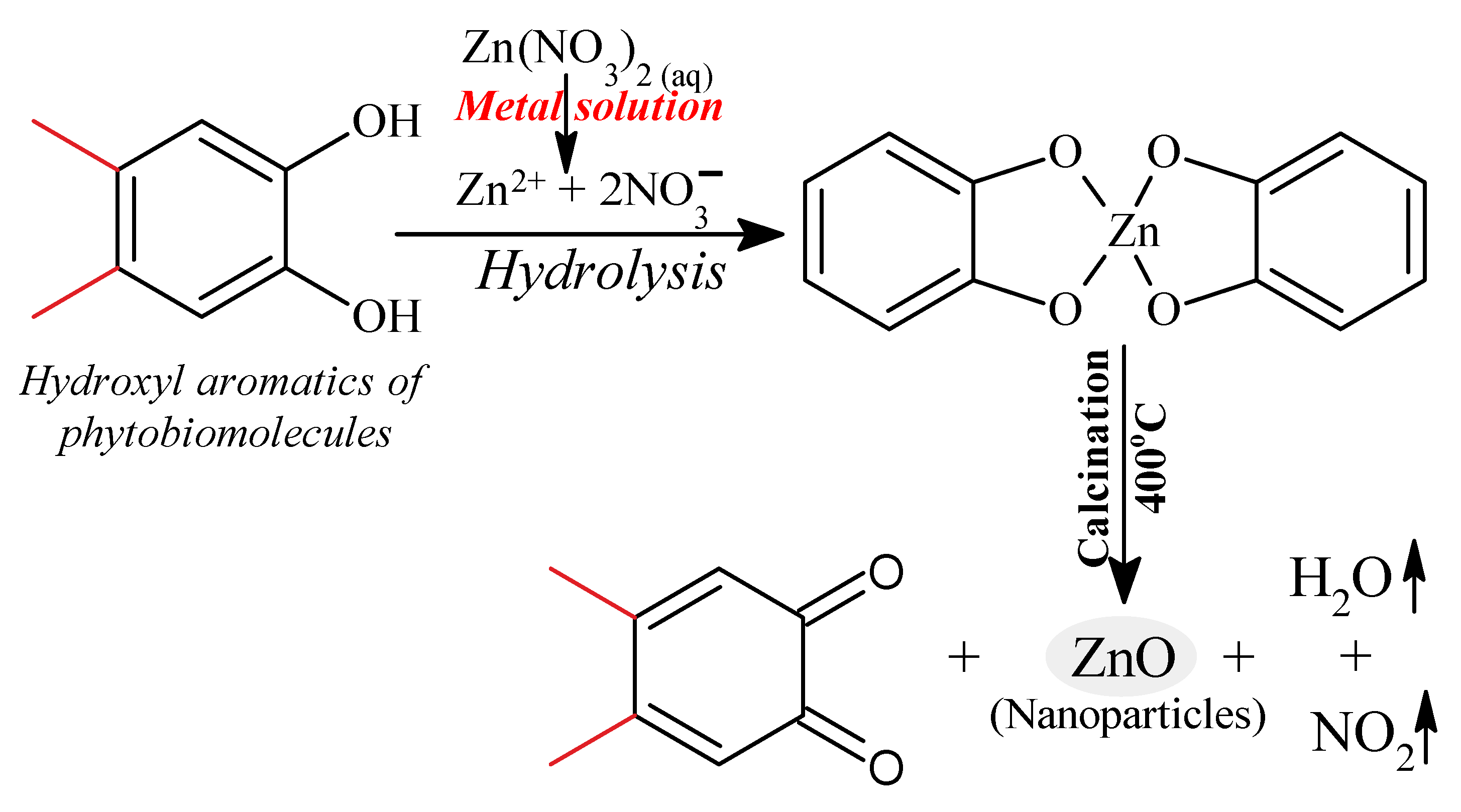 Pharmaceutics 13 01743 g007