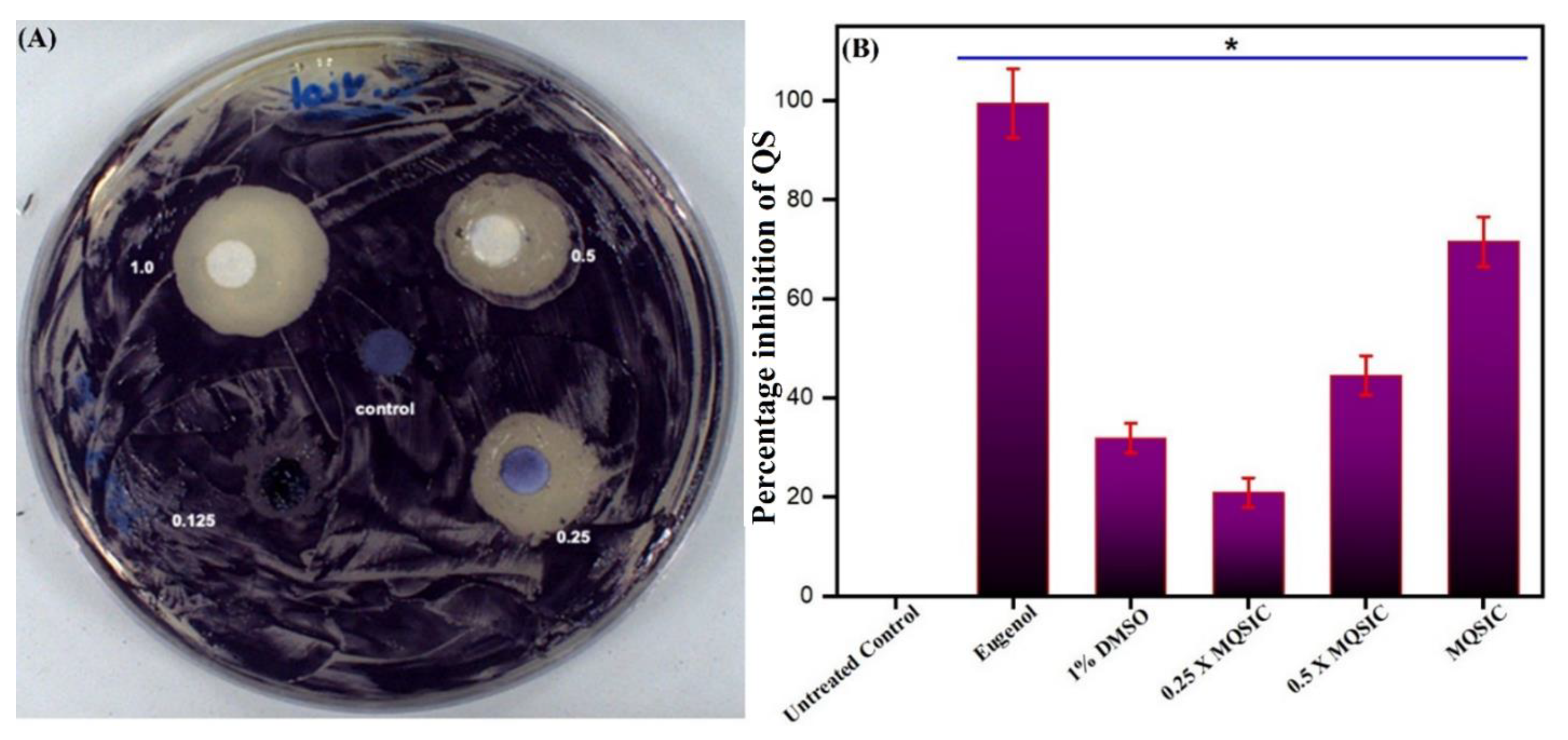 Pharmaceutics 13 01743 g009