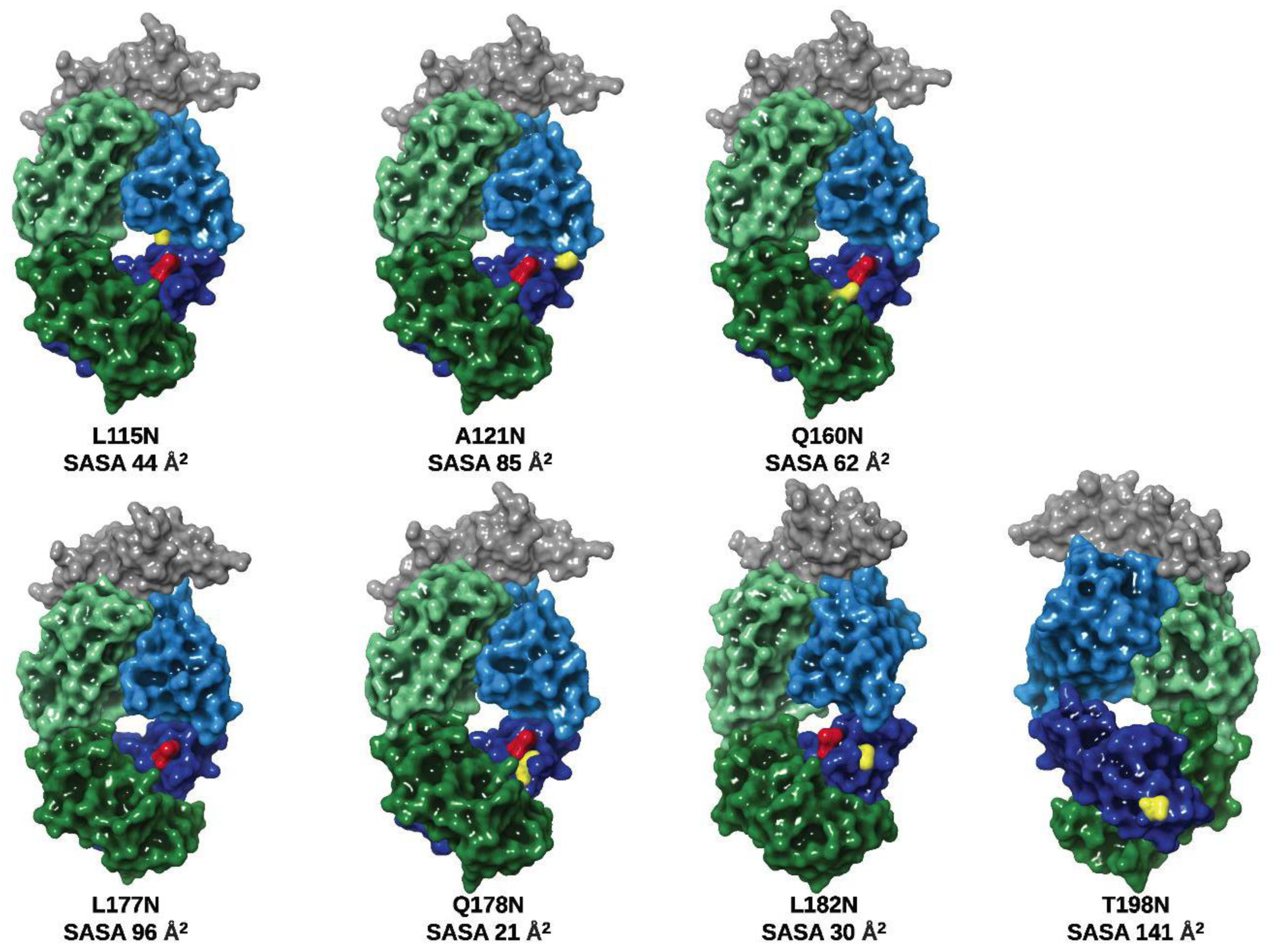 Pharmaceutics 13 01747 g001
