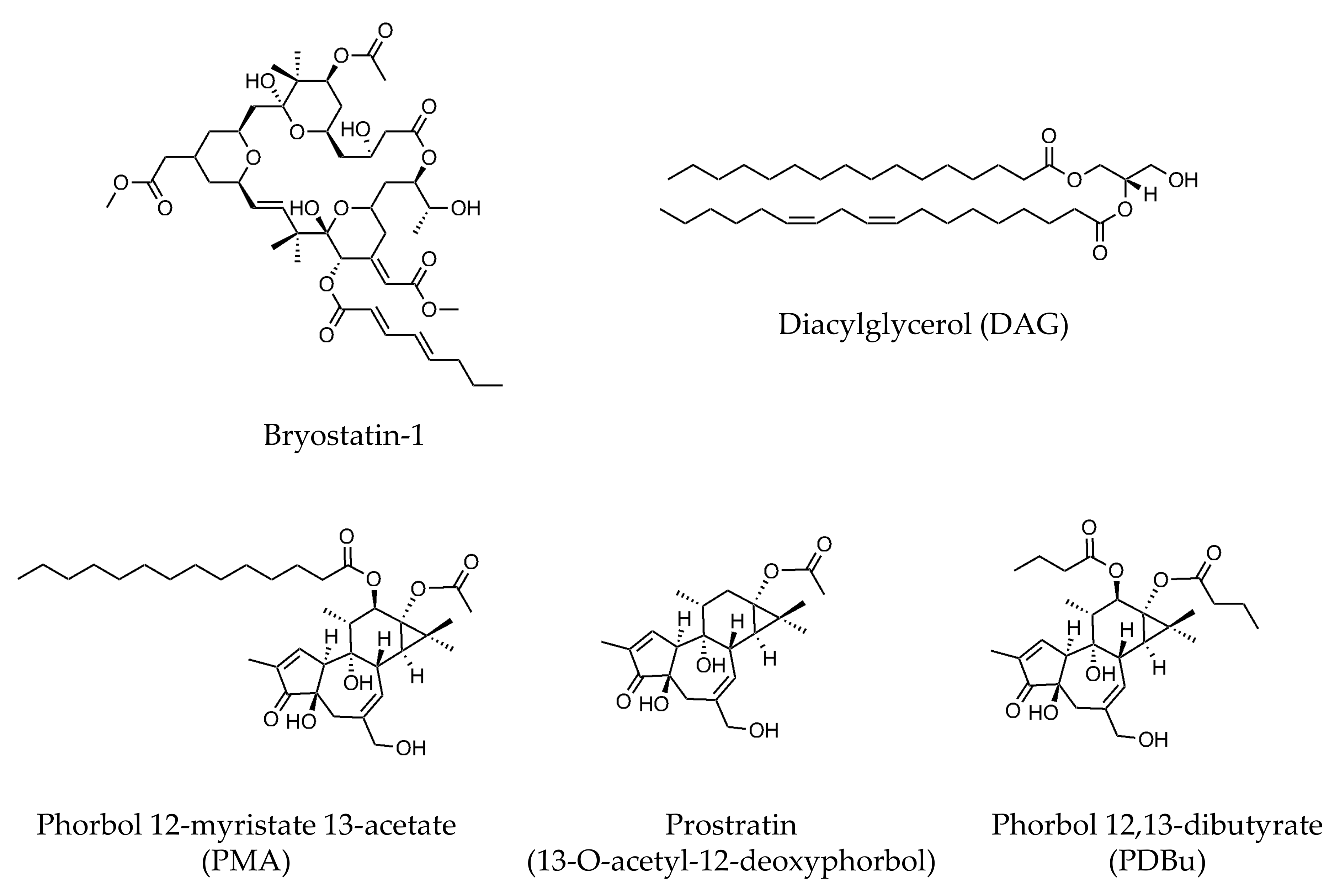 Pharmaceutics 13 01748 g005